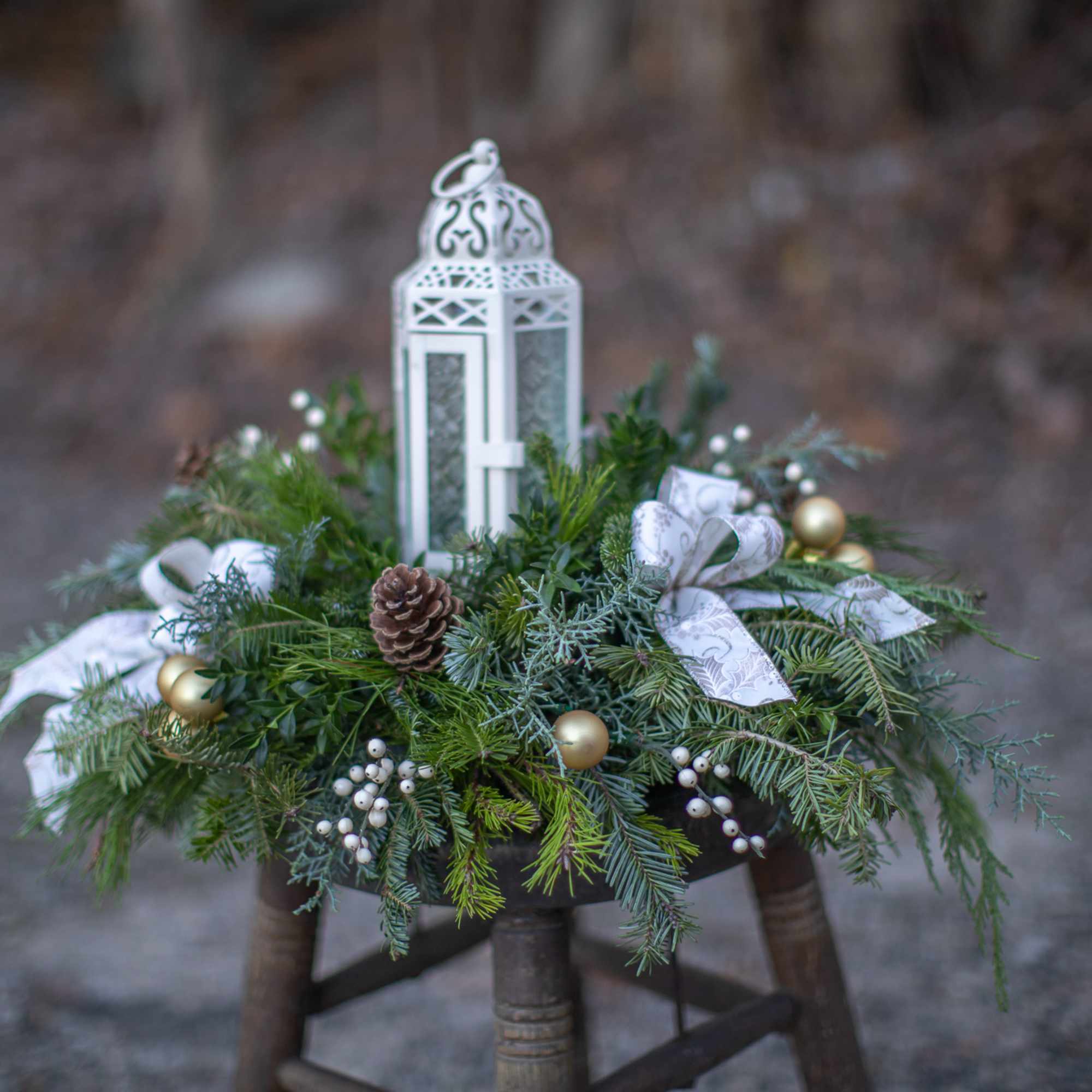 Fill your home or a loved ones with the ambient glow of