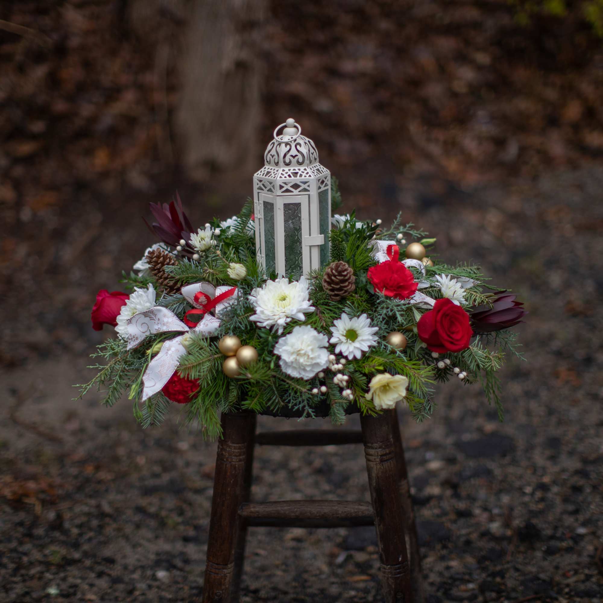 Fill your home or a loved ones with the ambient glow of