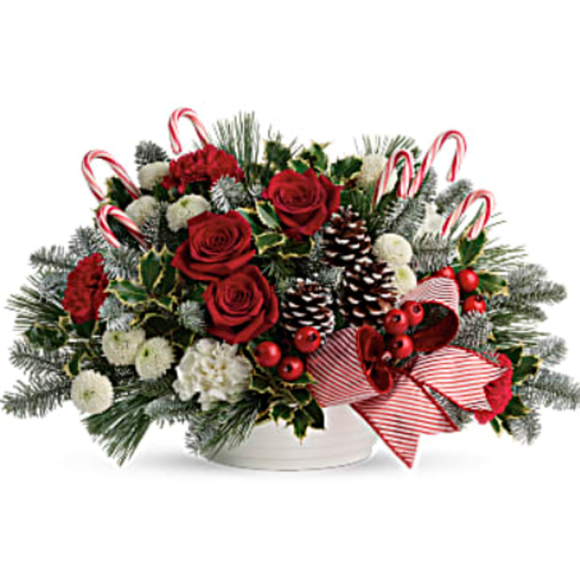 A Christmas classic, this arrangement bursts with festive blooms, fresh winter greens