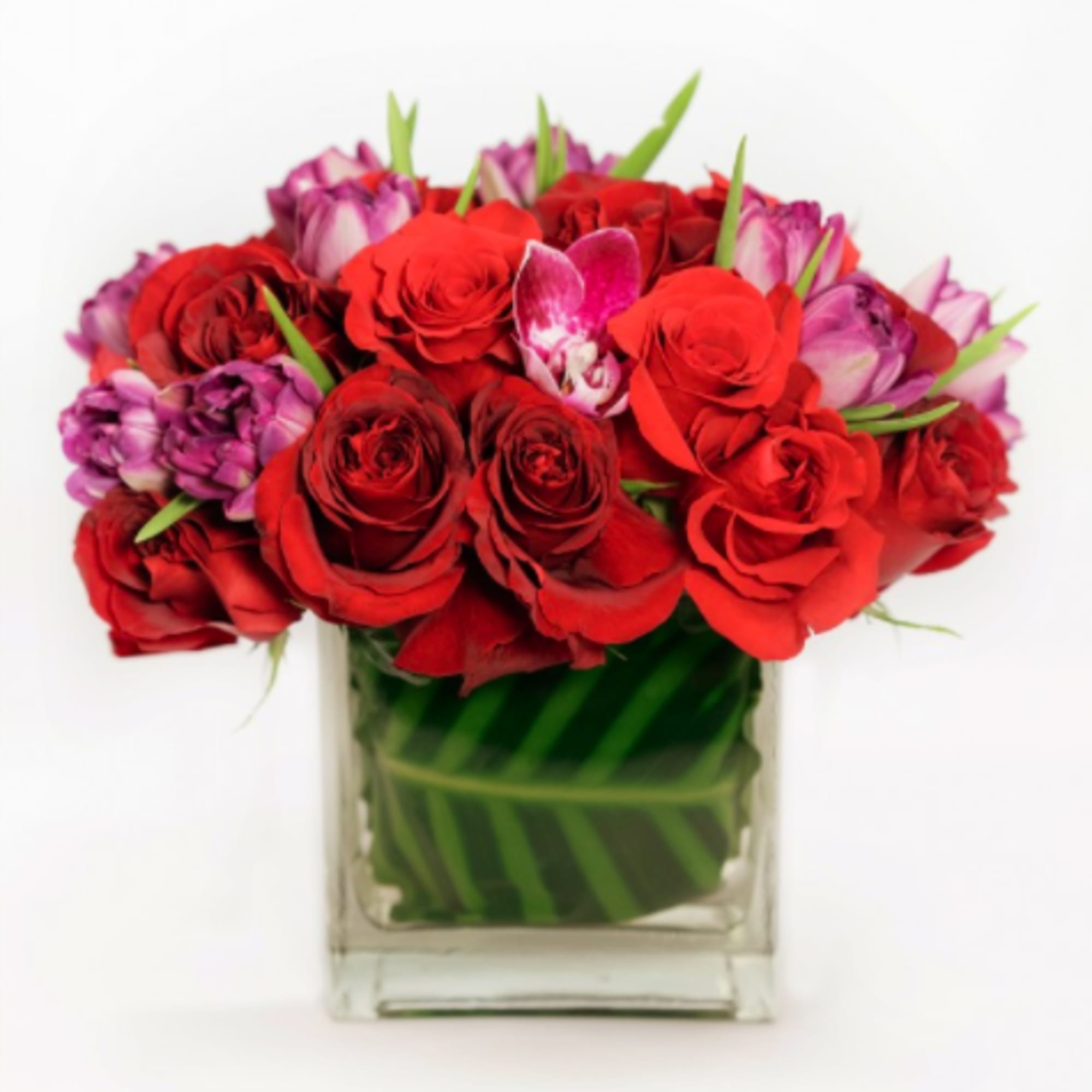 Forever Young will brighten up any room it enters. The stunning combination