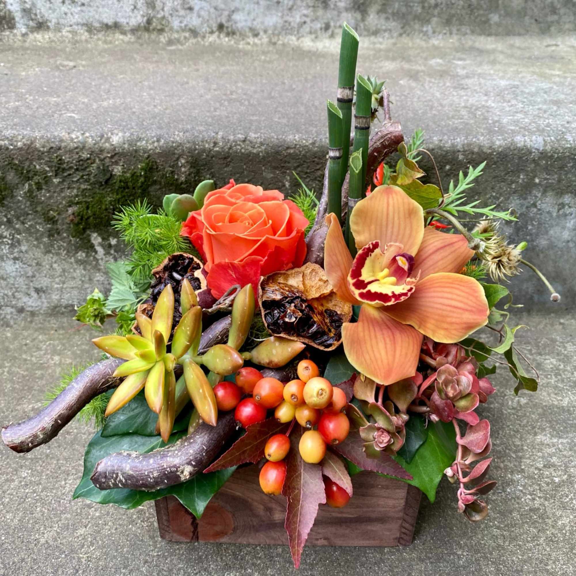 Our award-winning Texture Collection is a feast for the eyes, revealing another