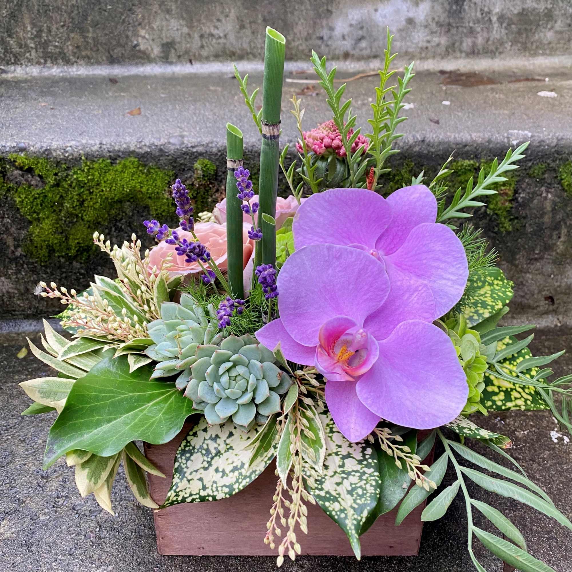 Our award-winning Texture Collection is a feast for the eyes, revealing another