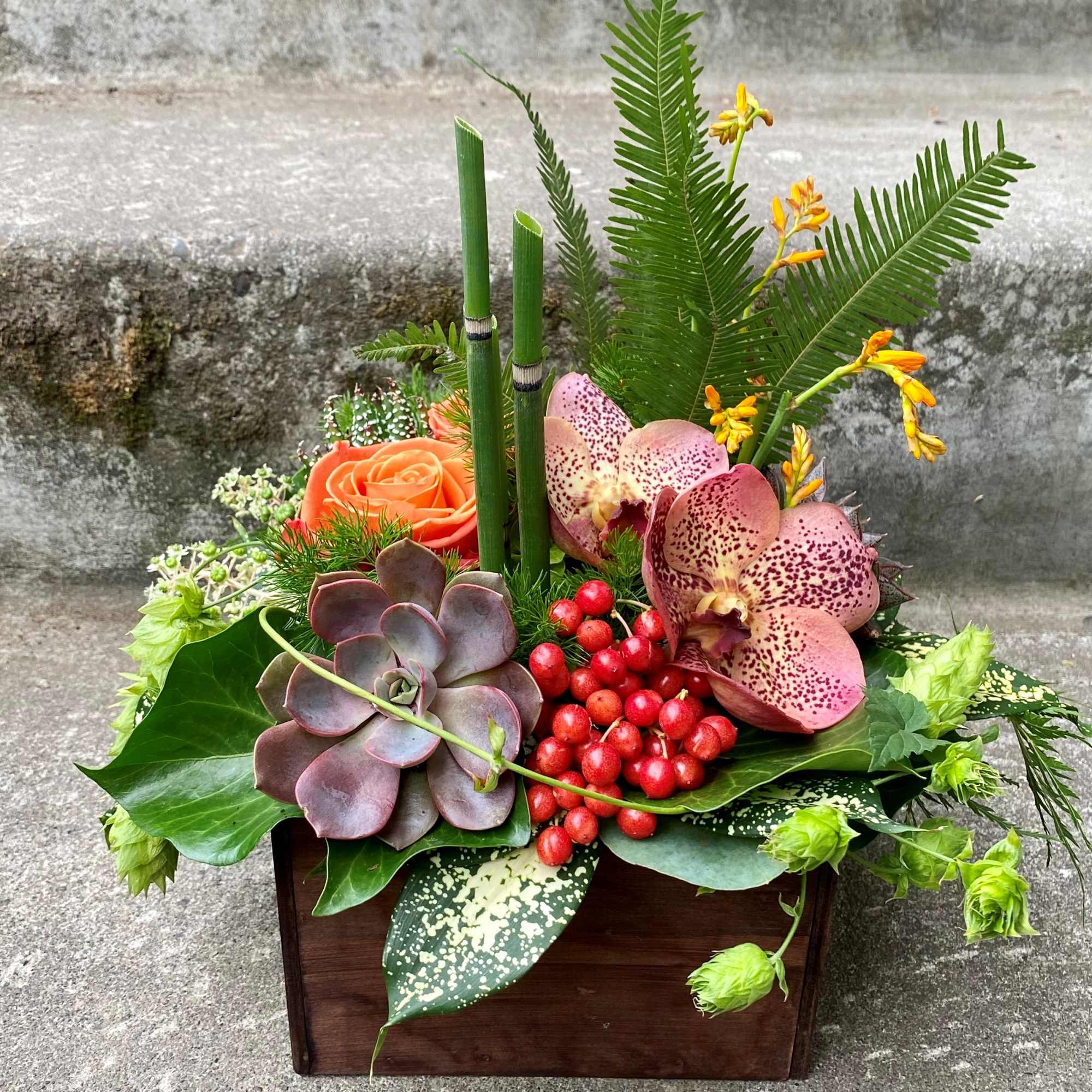 Our award-winning Texture Collection is a feast for the eyes, revealing another