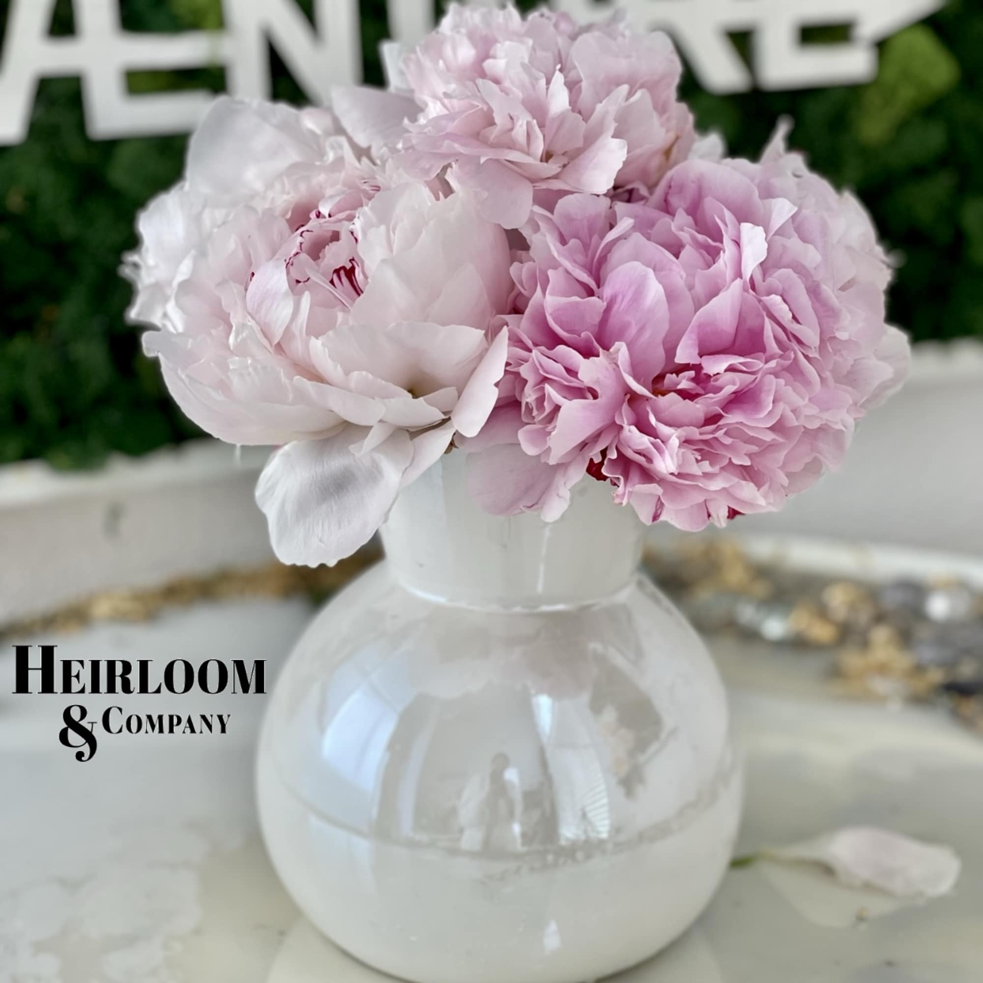 An iridescent bubble bowl overflowing with delicate pink and blush peonies. Embrace