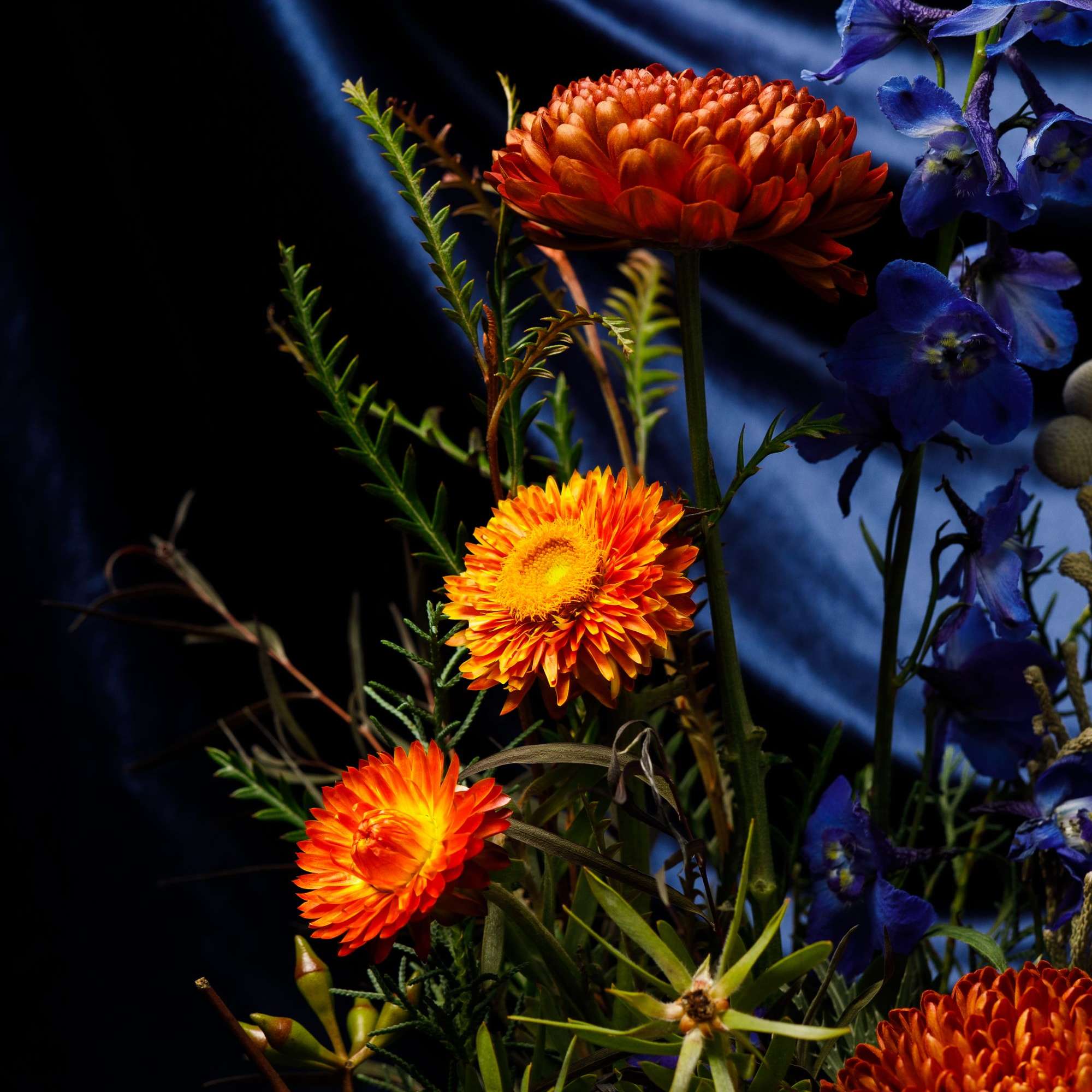 Give him something unexpected and offbeat with this carefully curated arrangement &ldquo;The