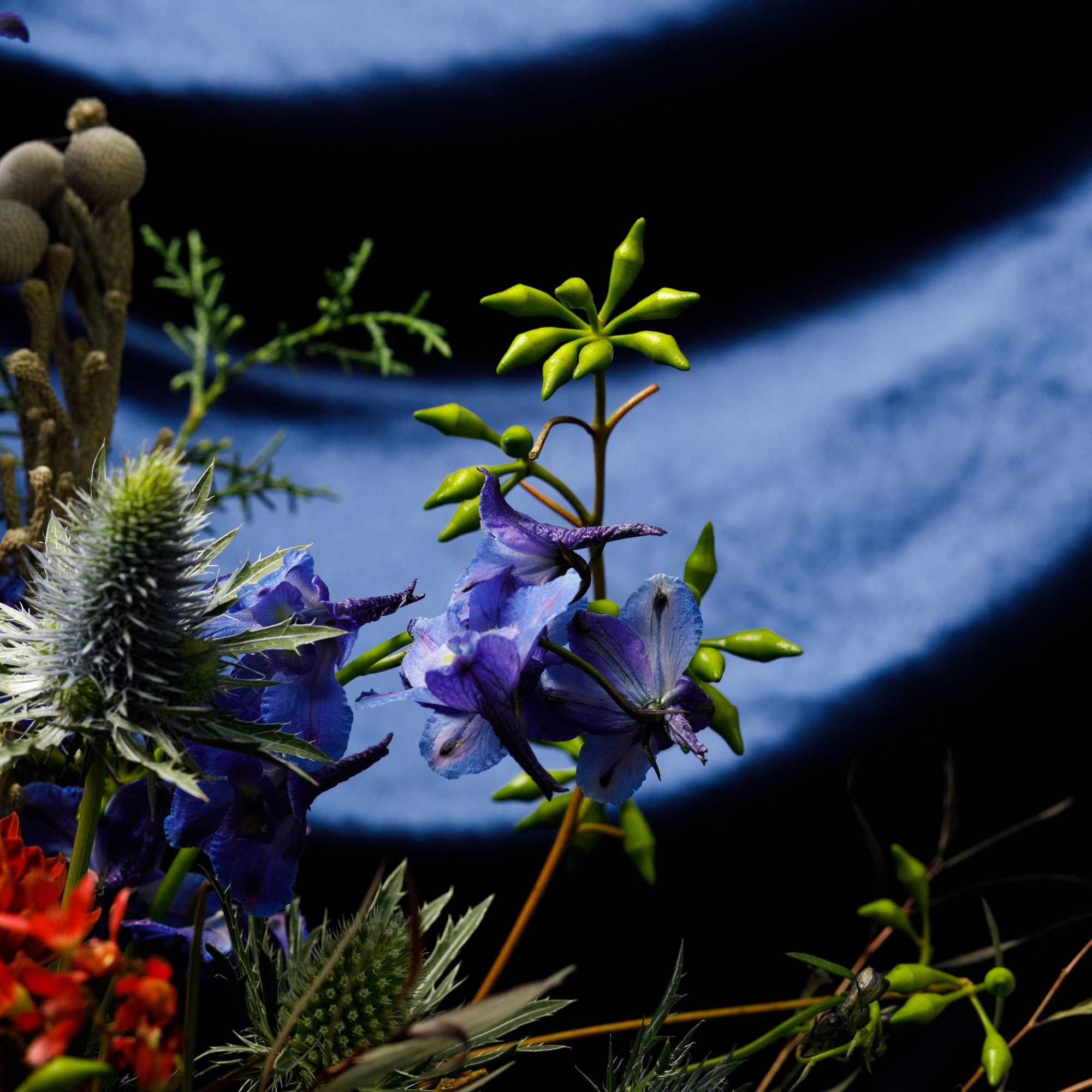 Give him something unexpected and offbeat with this carefully curated arrangement &ldquo;The