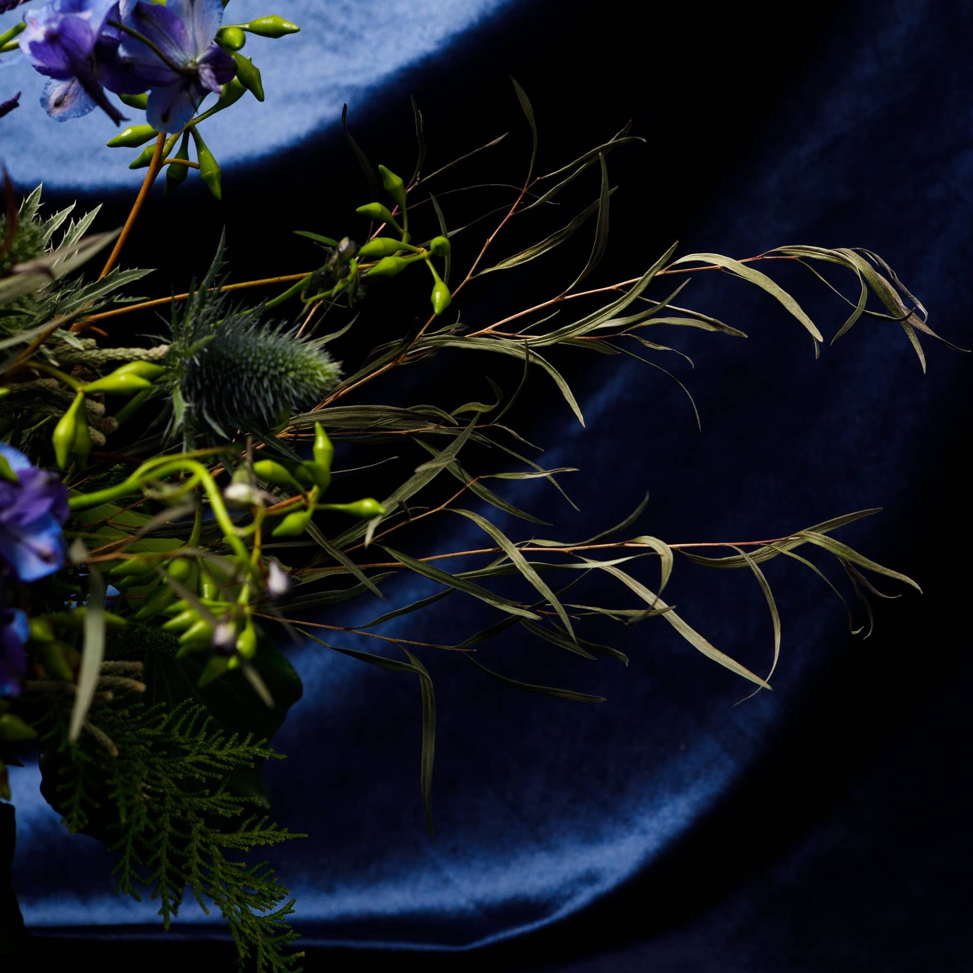 Give him something unexpected and offbeat with this carefully curated arrangement &ldquo;The