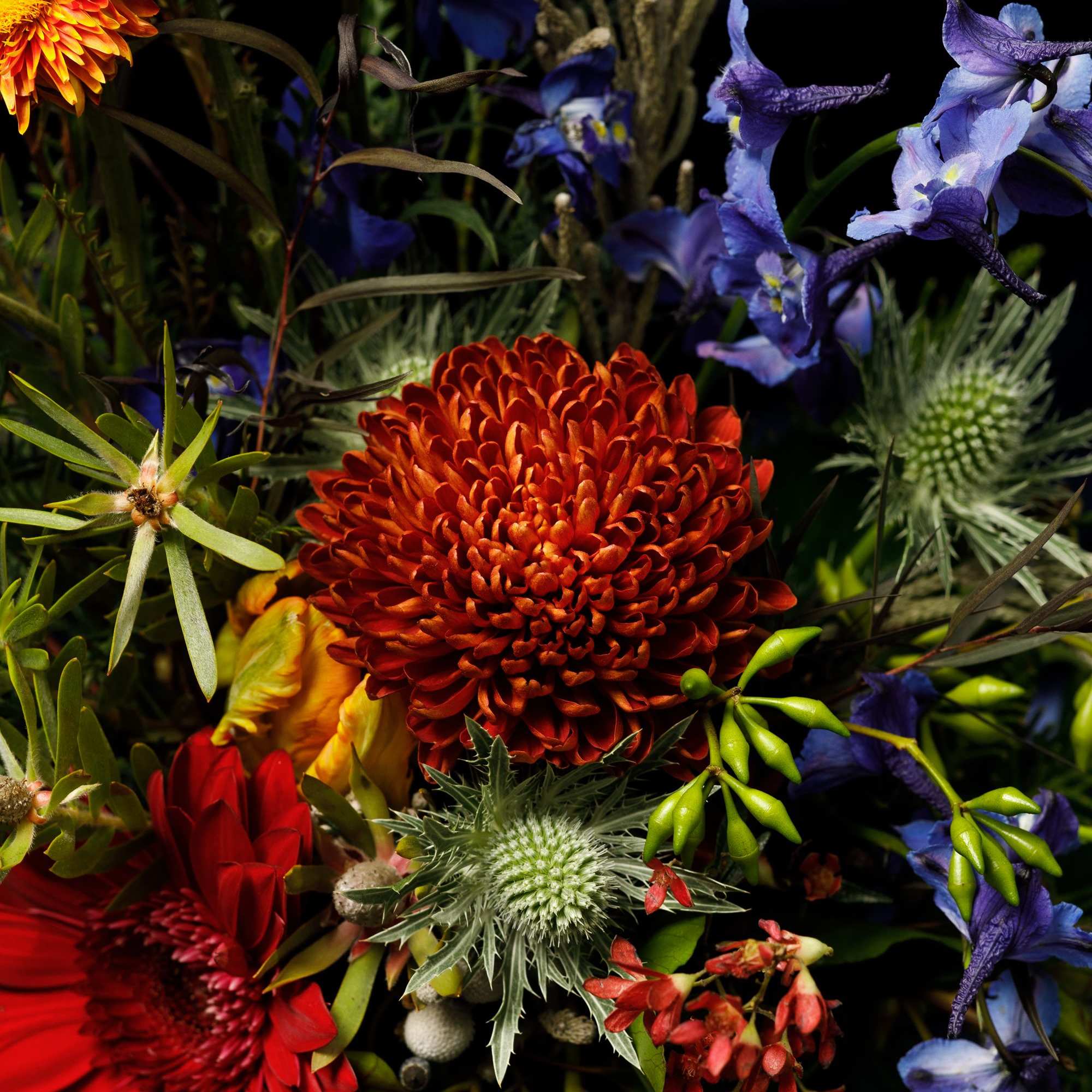 Give him something unexpected and offbeat with this carefully curated arrangement &ldquo;The