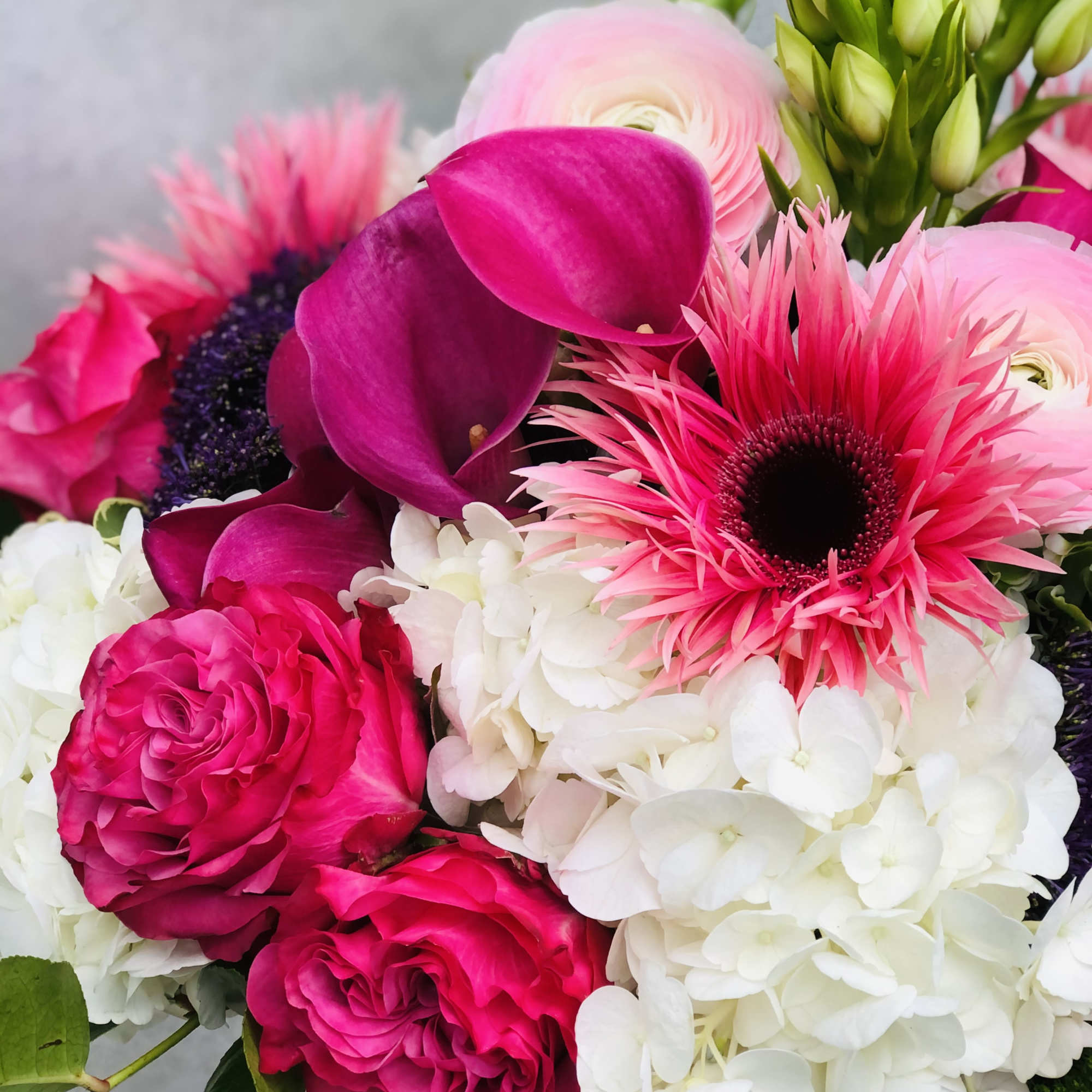 This stunning color display of Hydragea, Gerbera Daisies, Roses, calls lullies and