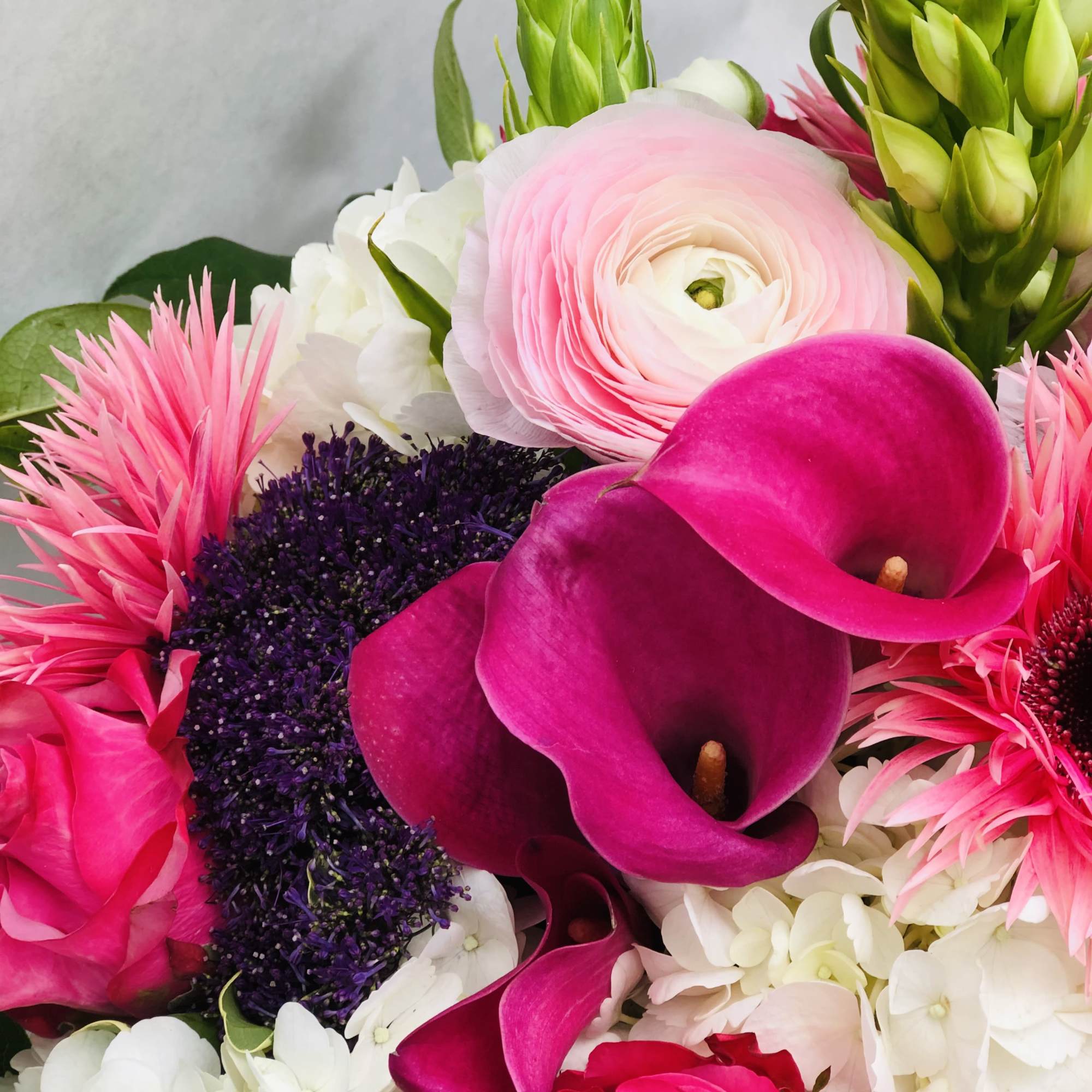 This stunning color display of Hydragea, Gerbera Daisies, Roses, calls lullies and