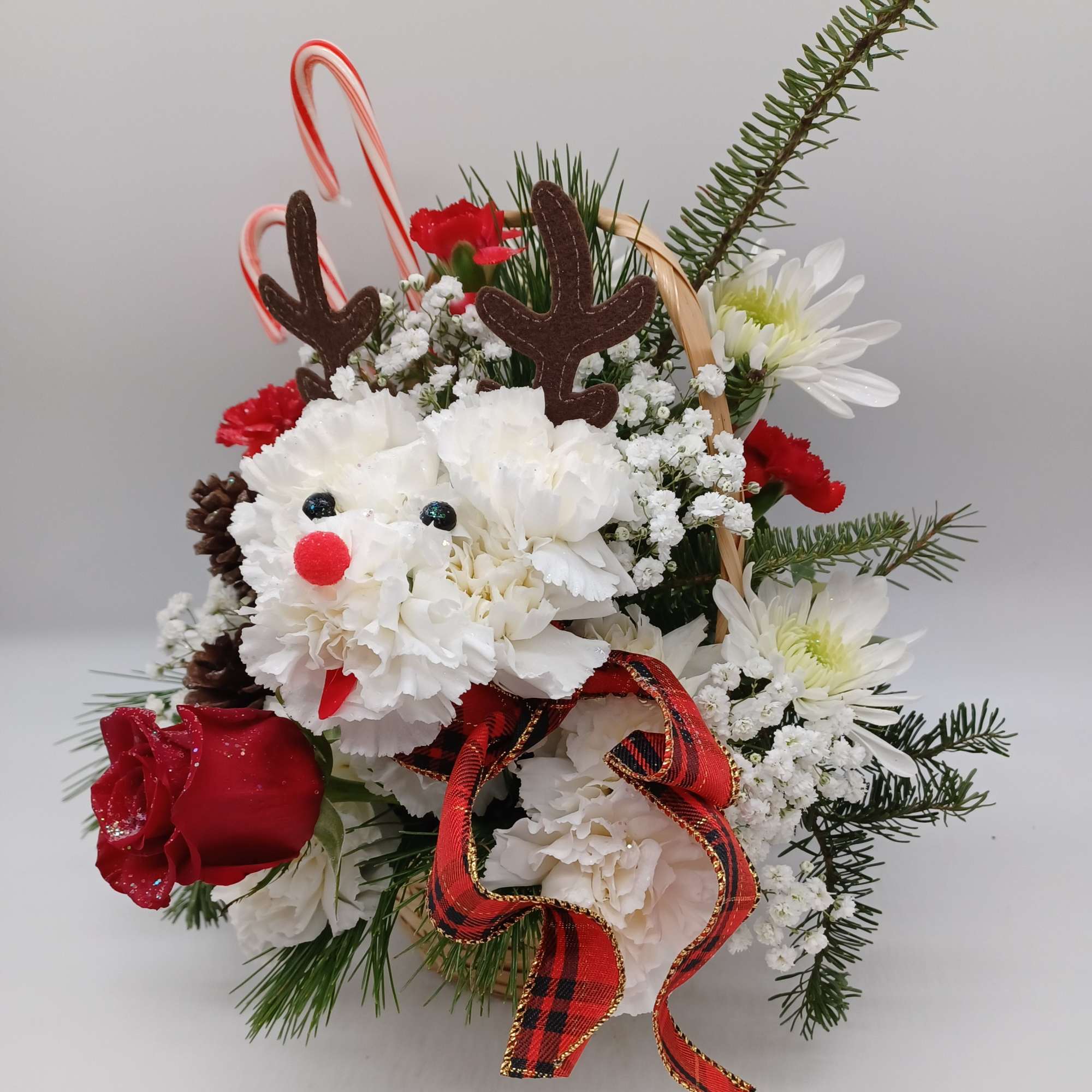 Adorable puppy made of carnations playing the part of Santas helper, Rudolph