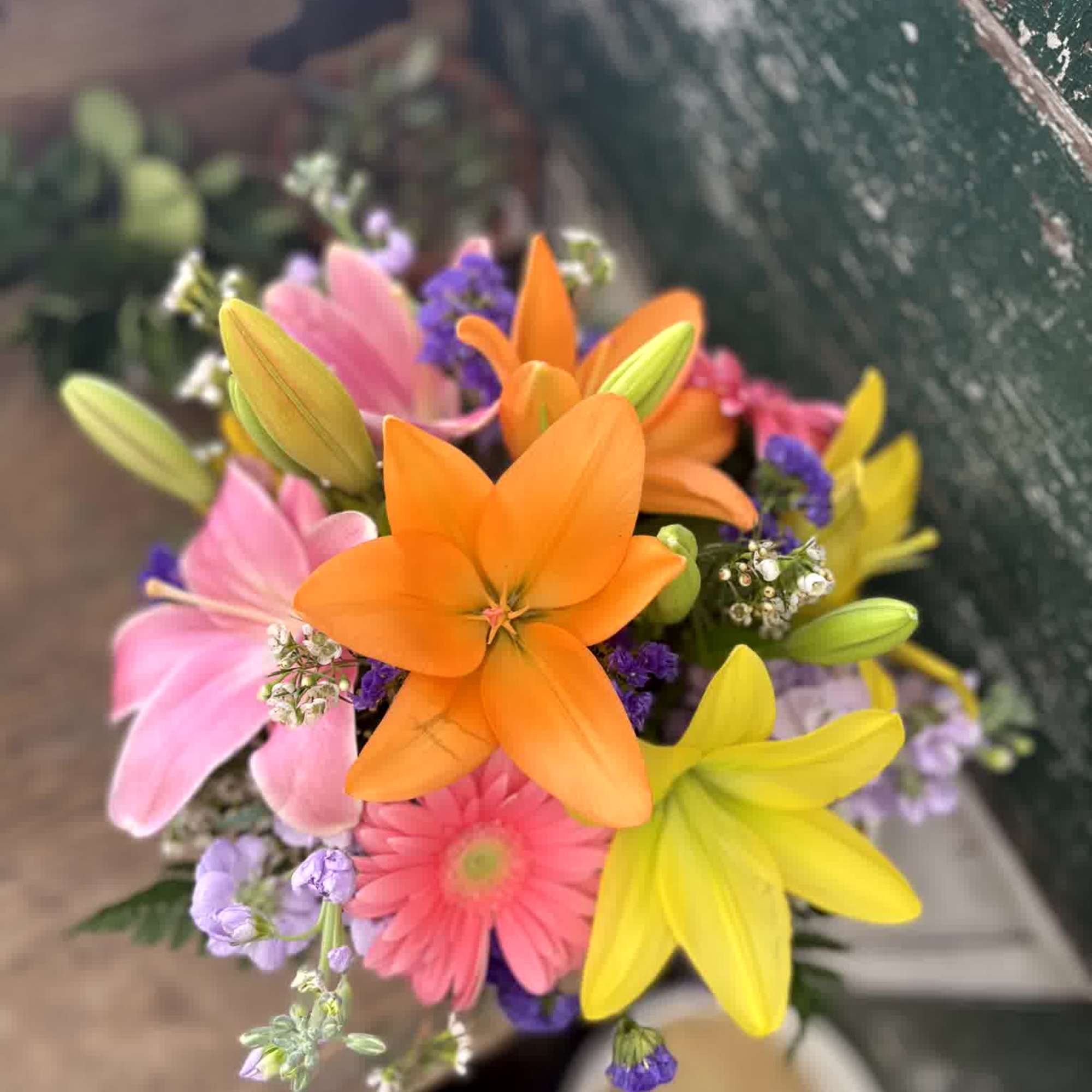 Sometimes the simple things in life can bring the most joy &ndash;