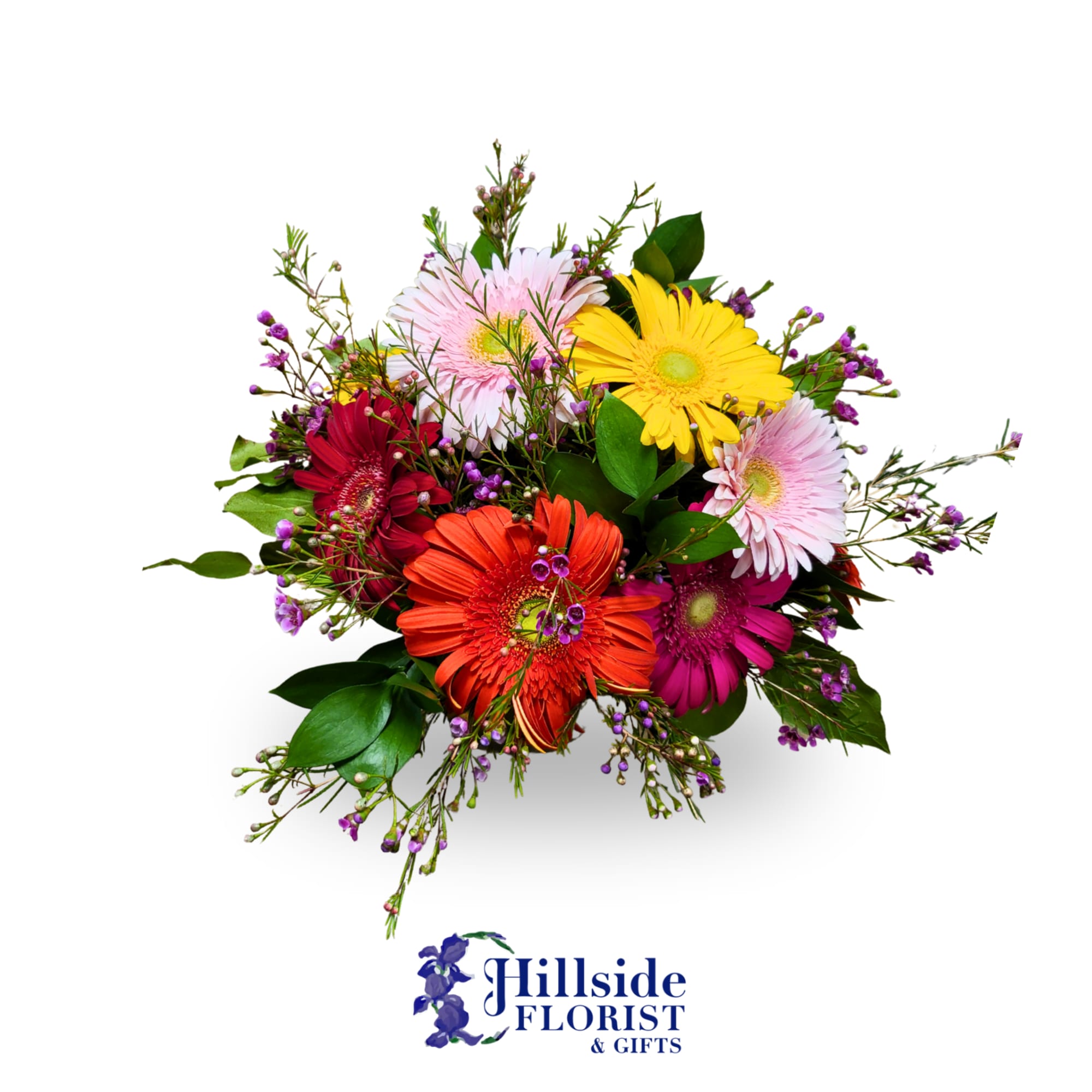 This fresh arrangement is a bubble bowl filled with Gerbera Daisies and