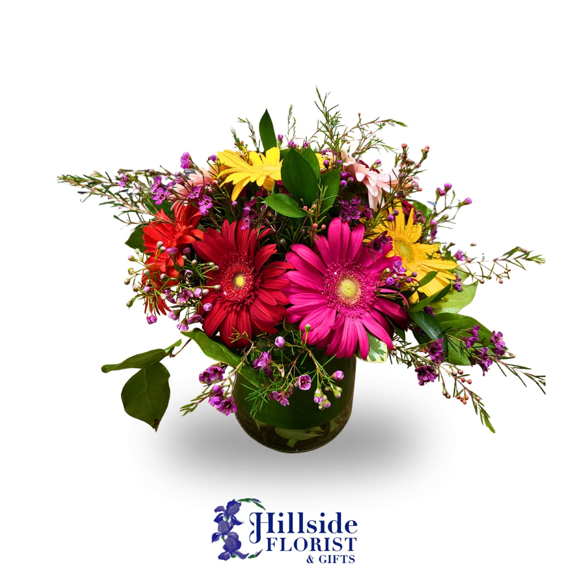 This fresh arrangement is a bubble bowl filled with Gerbera Daisies and