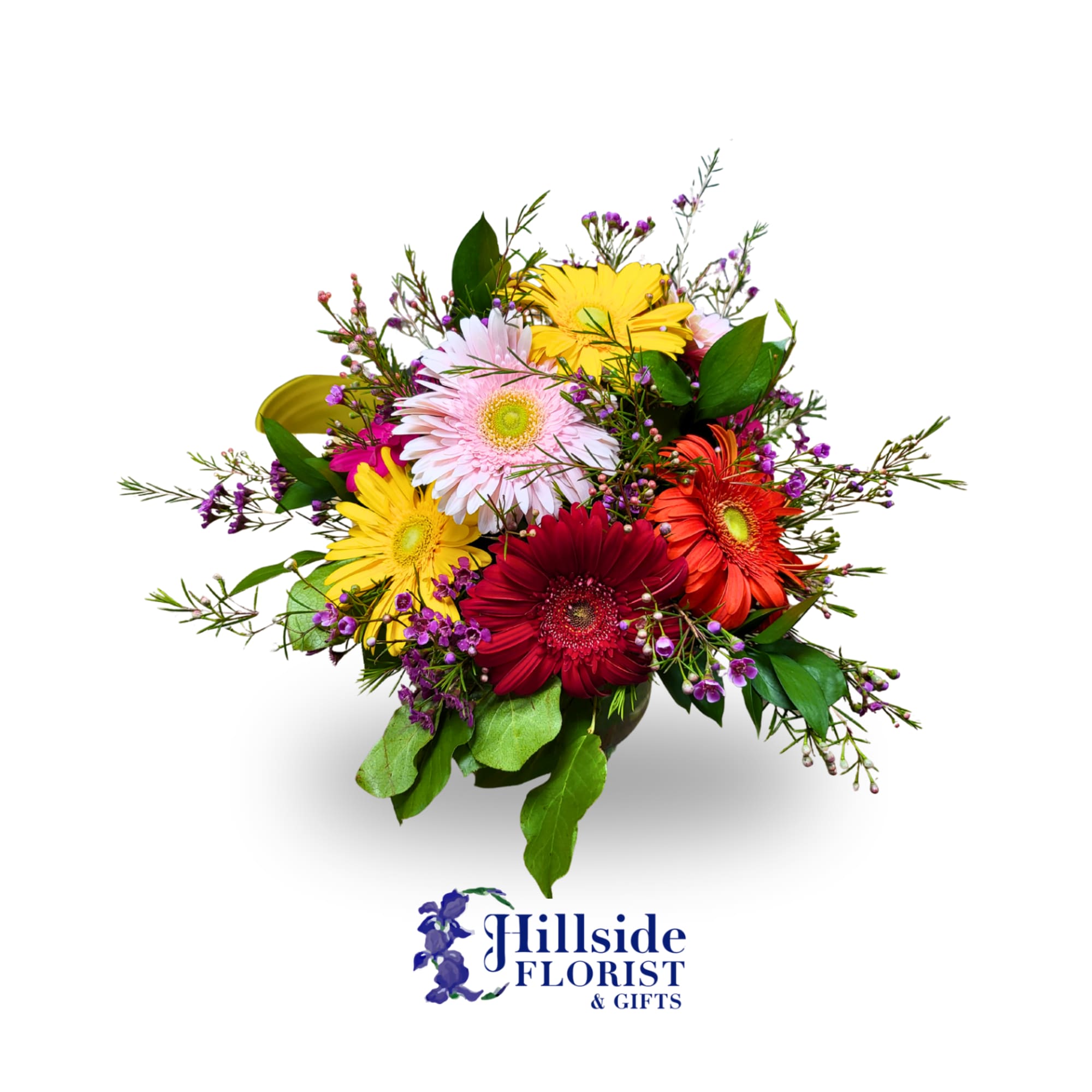 This fresh arrangement is a bubble bowl filled with Gerbera Daisies and