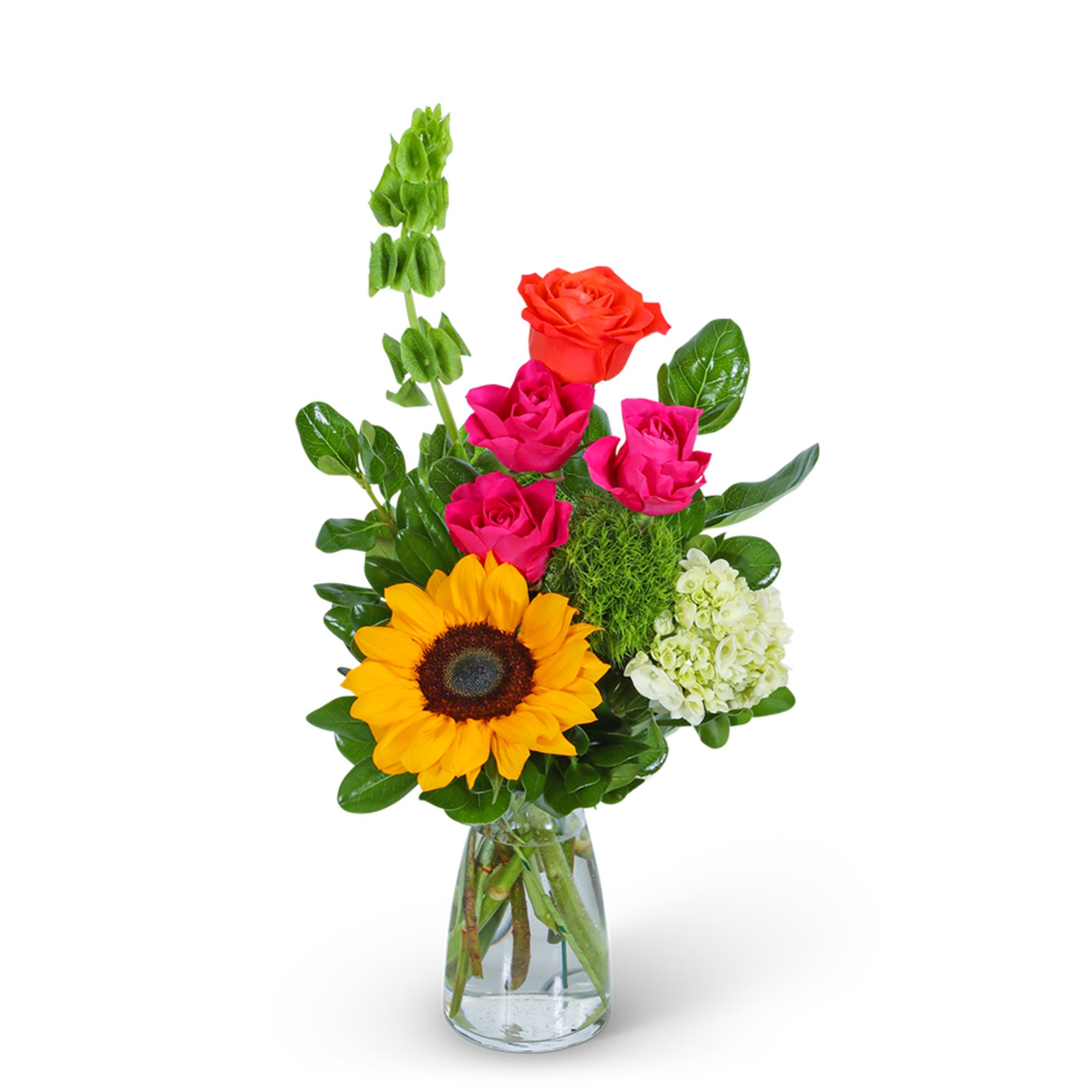 Immerse yourself in a kaleidoscope of vivid blooms with our Vibrant Vibe