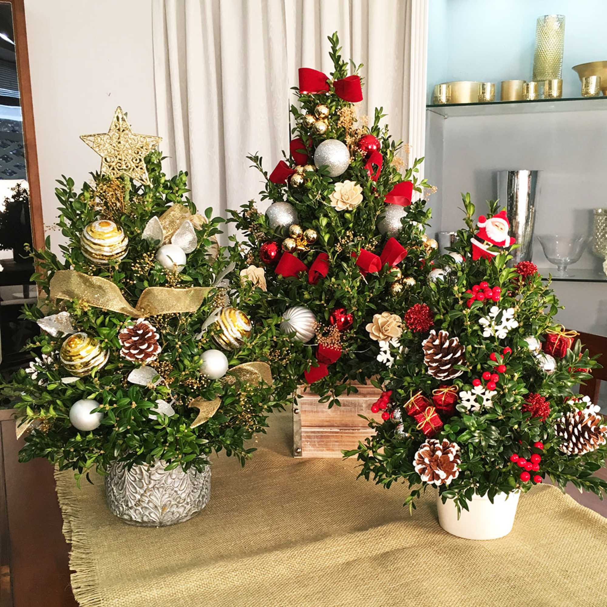 AVAILABLE FOR A LIMITED TIME.  These delightful trees are a perennial