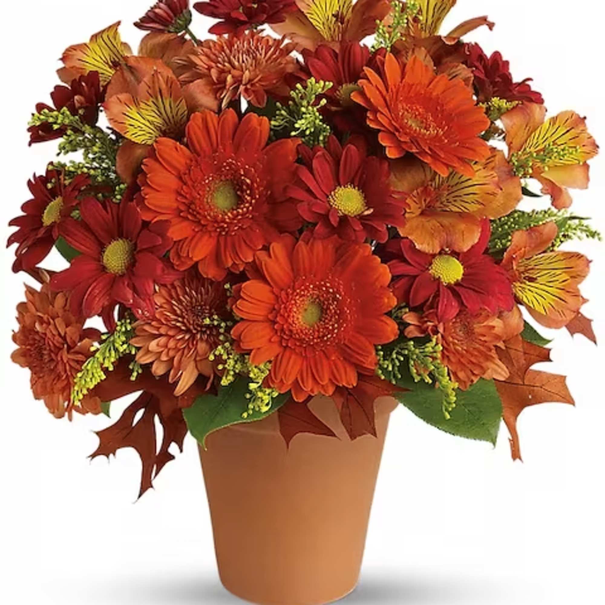 Send this pretty pot of golden fall flowers to someone special today.