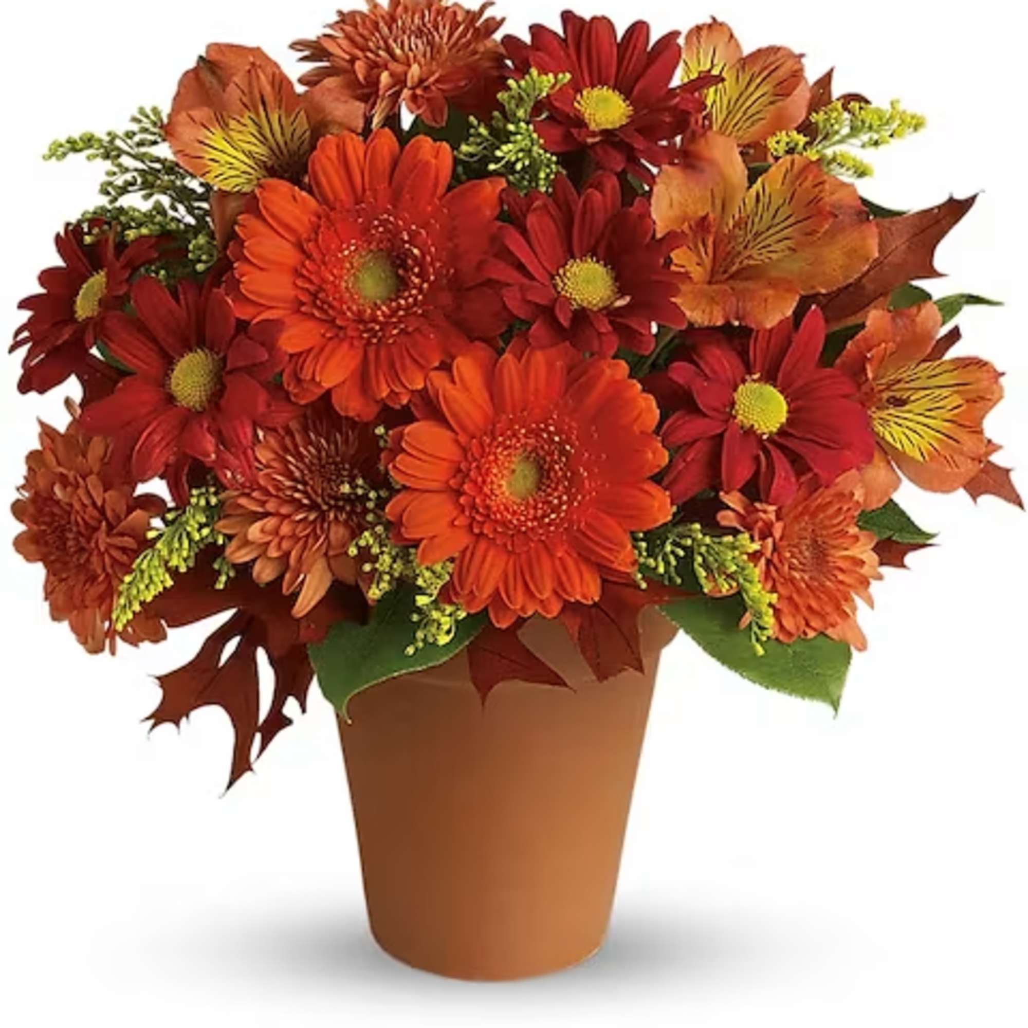 Send this pretty pot of golden fall flowers to someone special today.