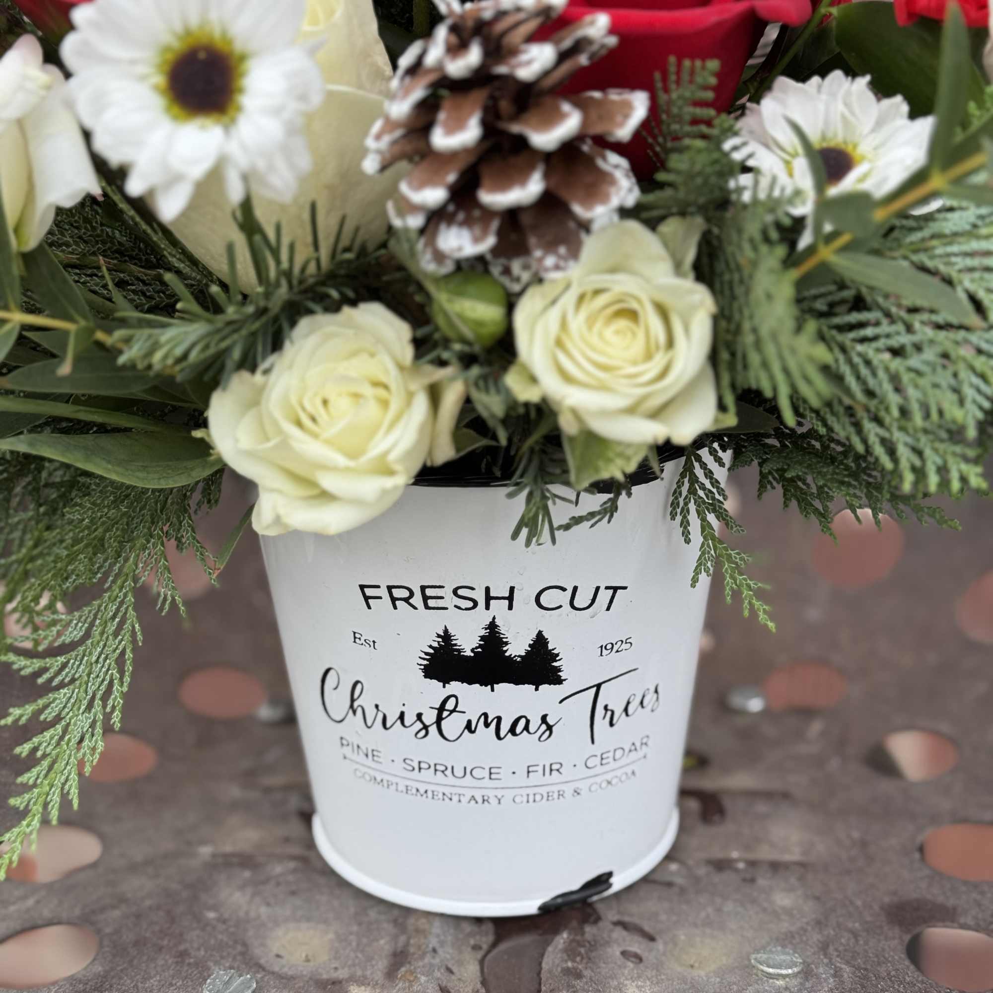 In a rustic, decorative tree farm tin and full of fresh pine.