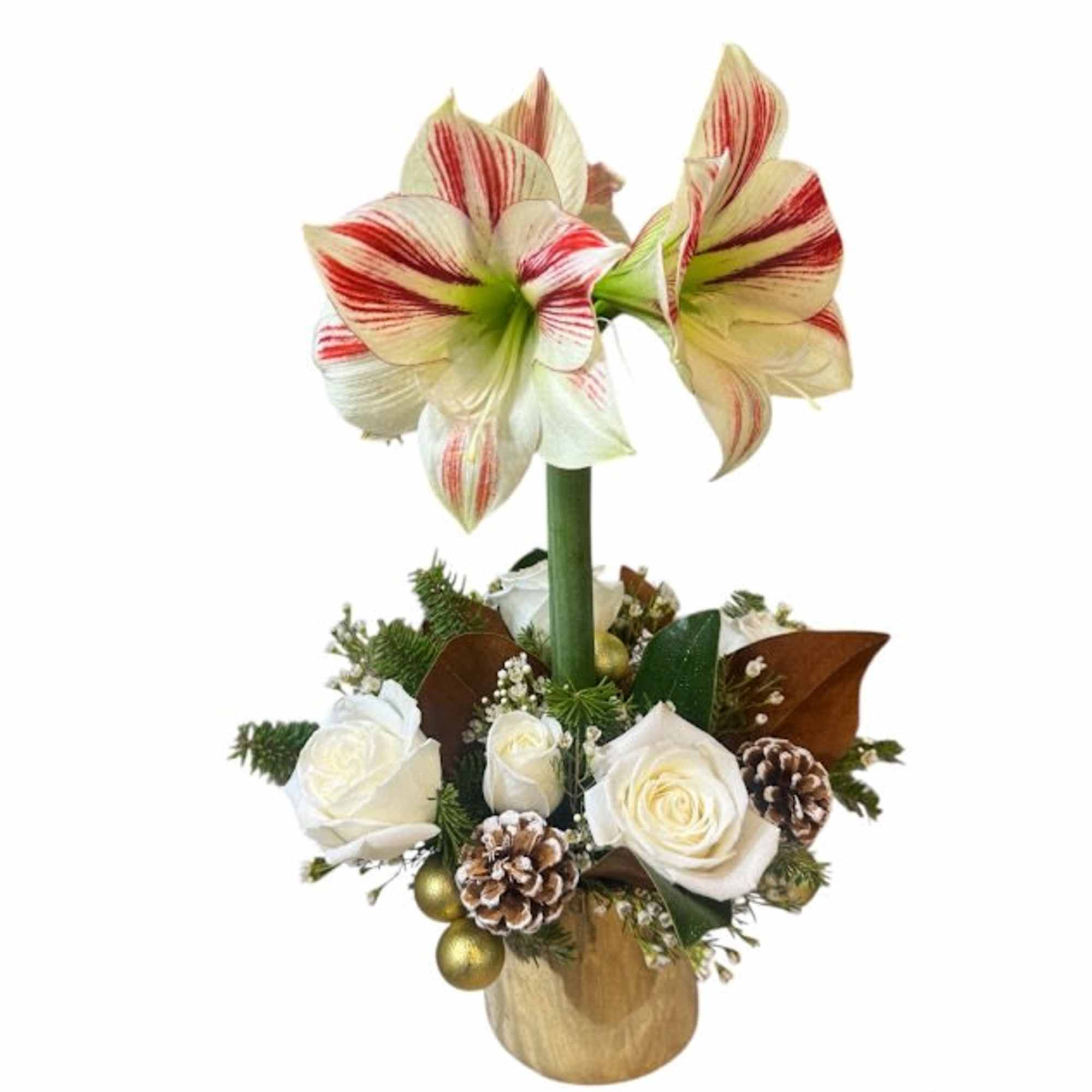  Amaryllis, Roses, with Holiday decorations in a gold vase