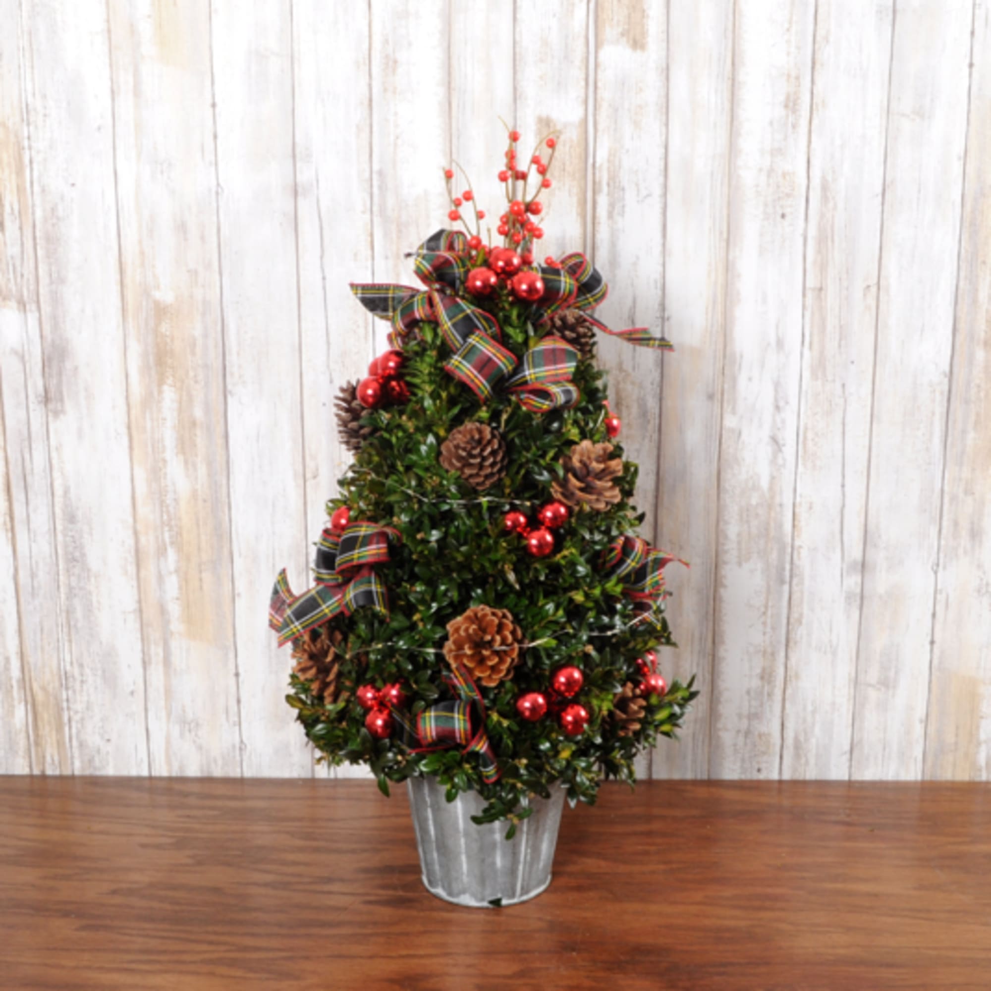 Beautiful designed boxwood greens shaped into a Christmas tree, decorated with battery
