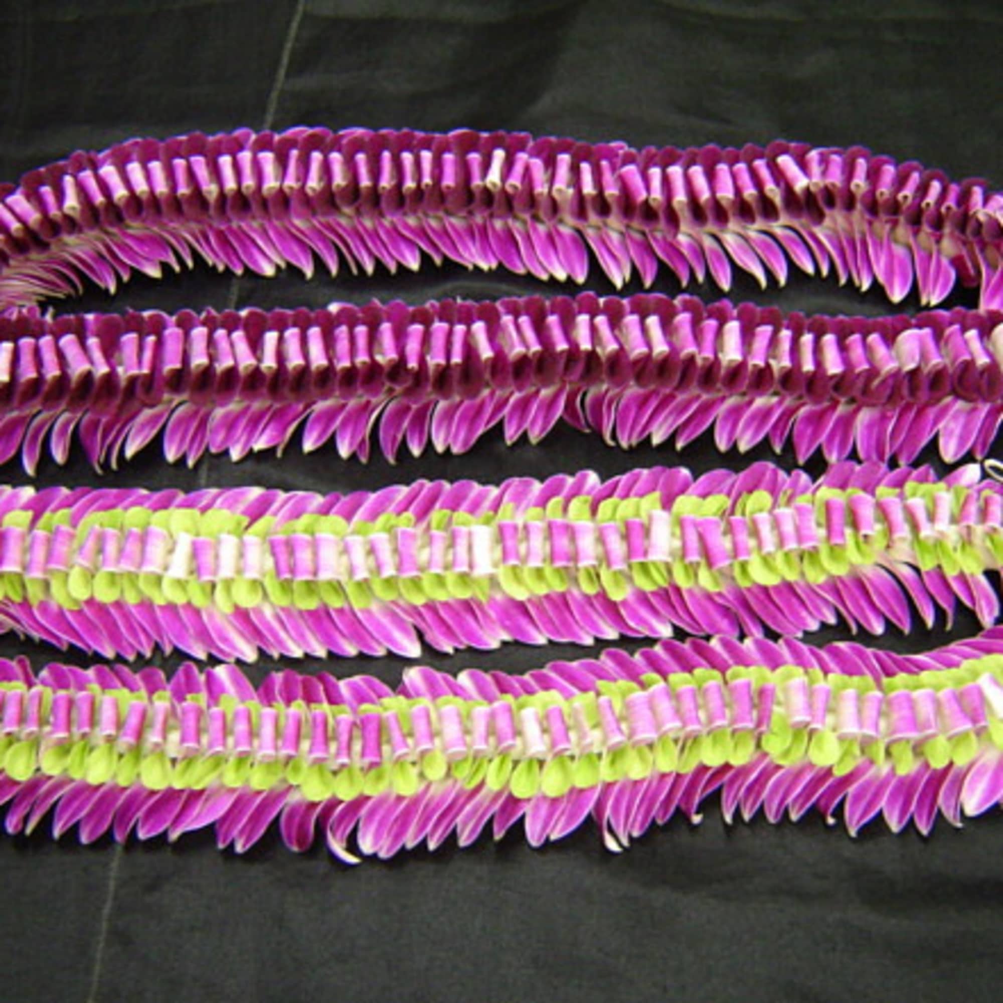 Colors and lei types VARY. due to season &amp; availability 

Order quickly