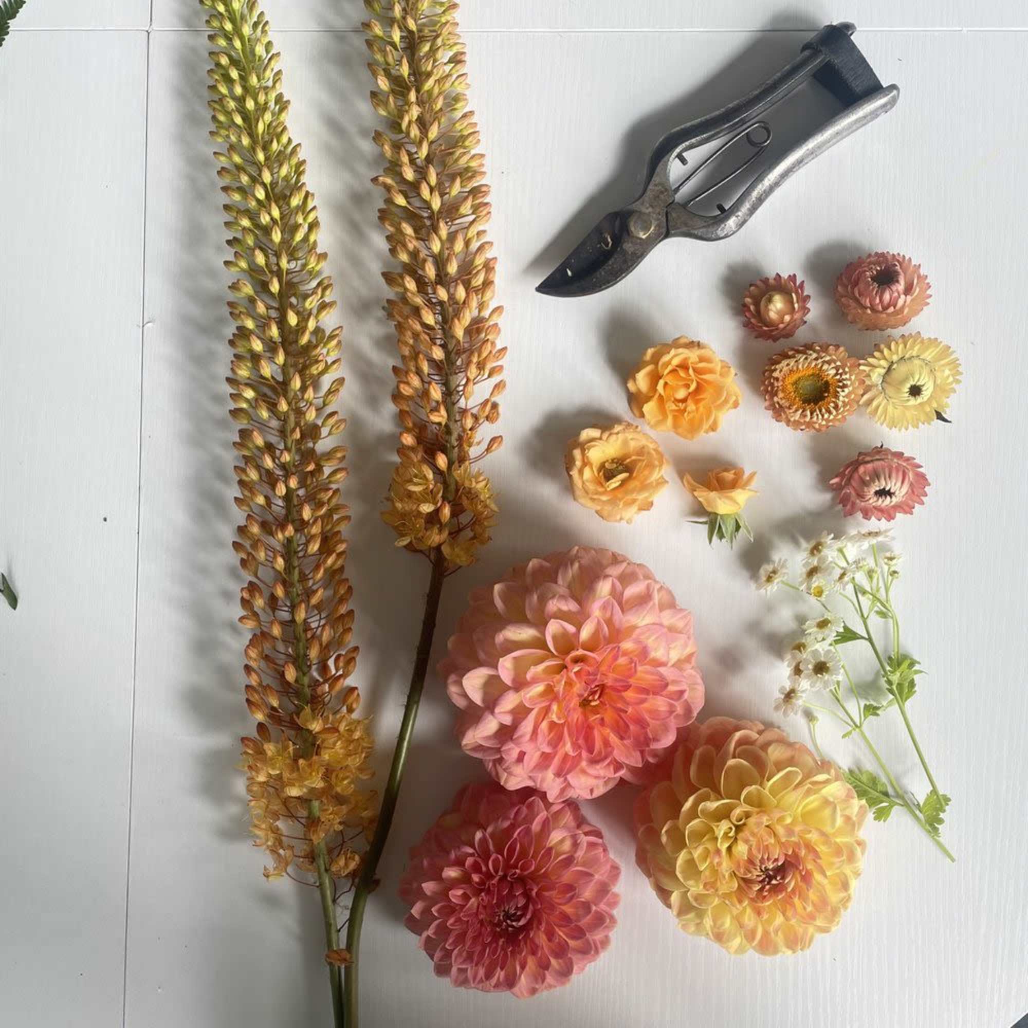 Create a beautiful coffee table-sized arrangement out of a curated selection of