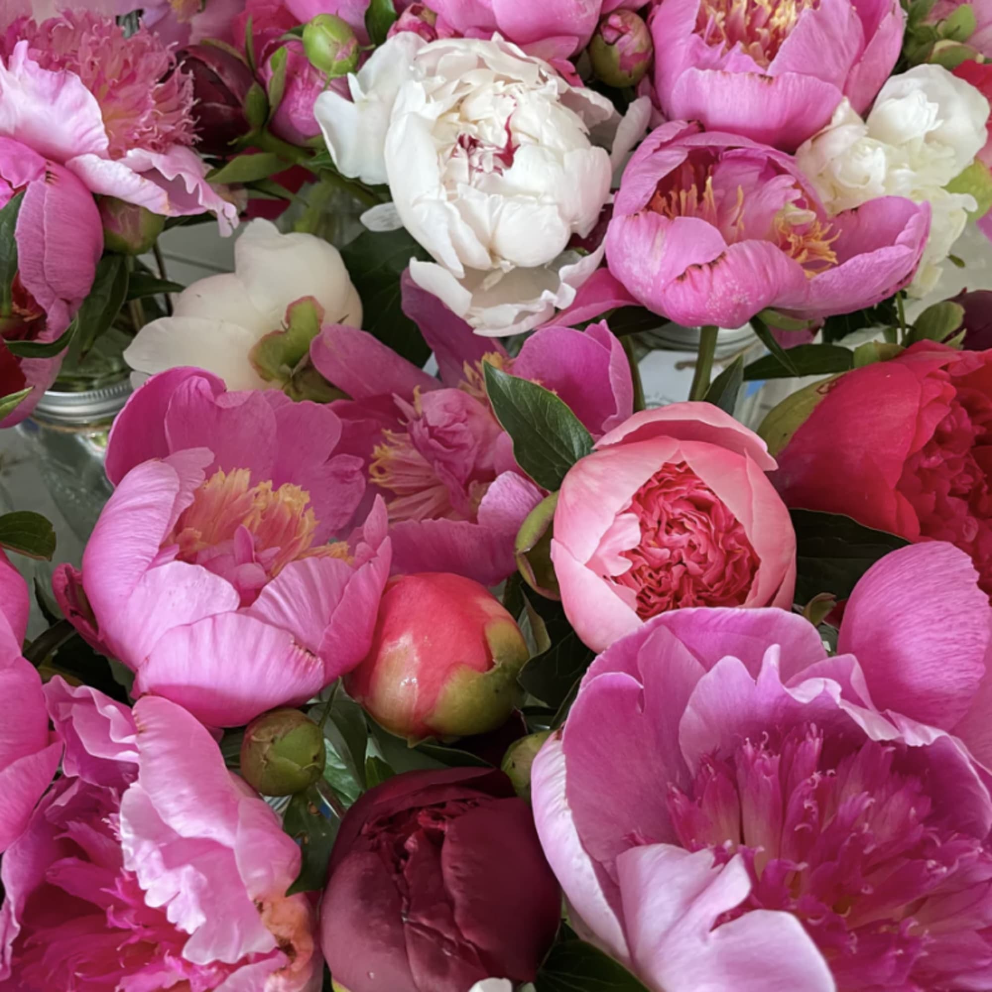 Peonies take center stage in this Lush Designer&rsquo;s choice arrangement, thoughtfully complemented