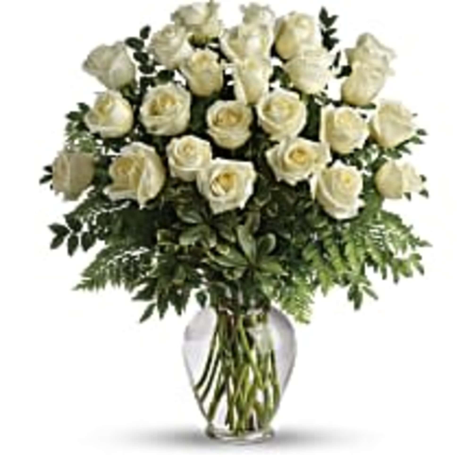 Pure joy! Two dozen wondrous white roses take center stage in this