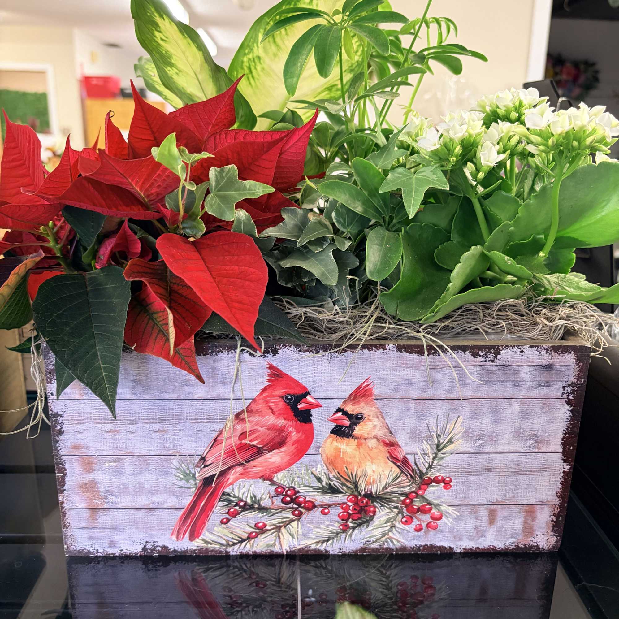 For all the plant lovers this holiday season,  beautifu dish gardens