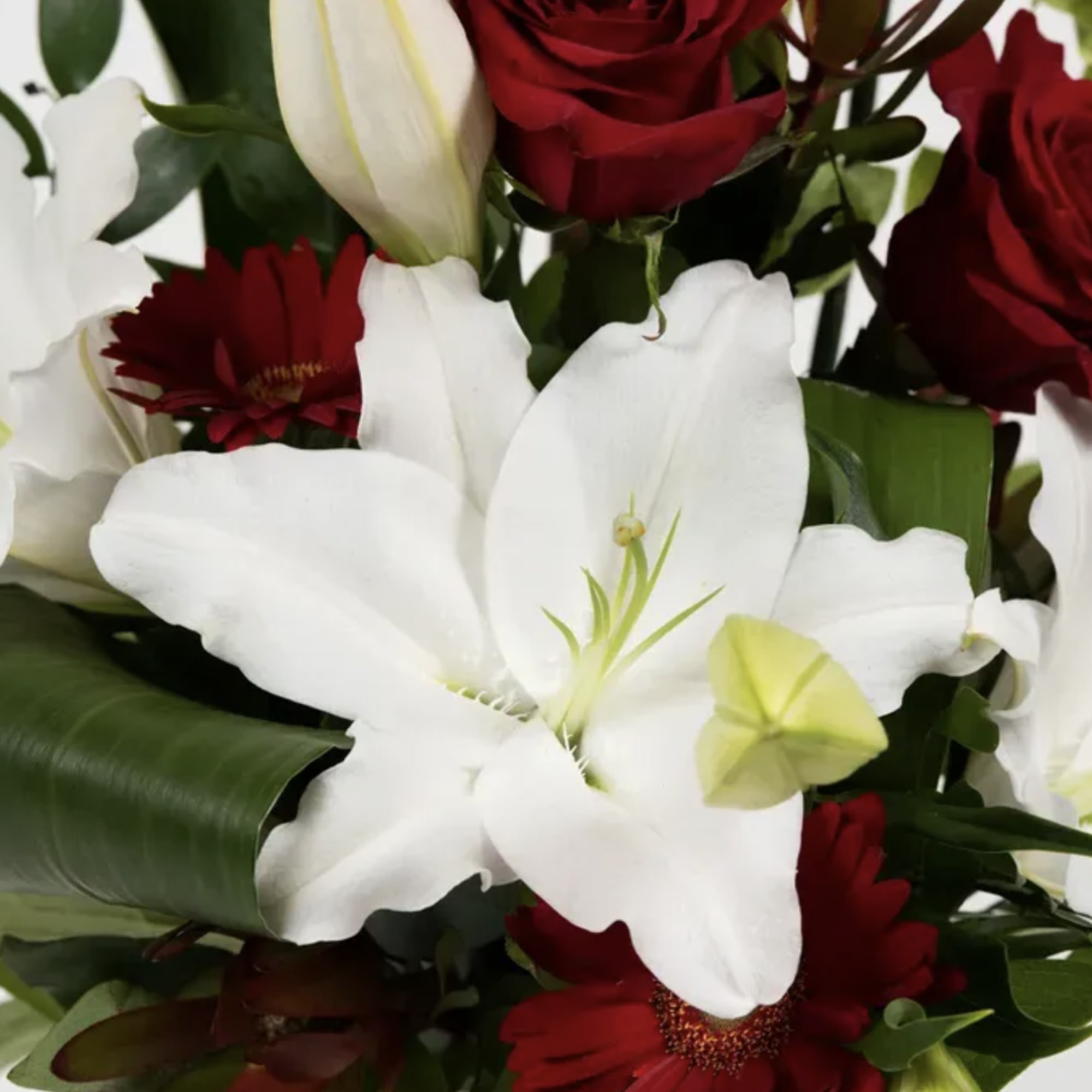Bold, elegant, and artfully designed, Blooming Fantasia is a striking floral arrangement