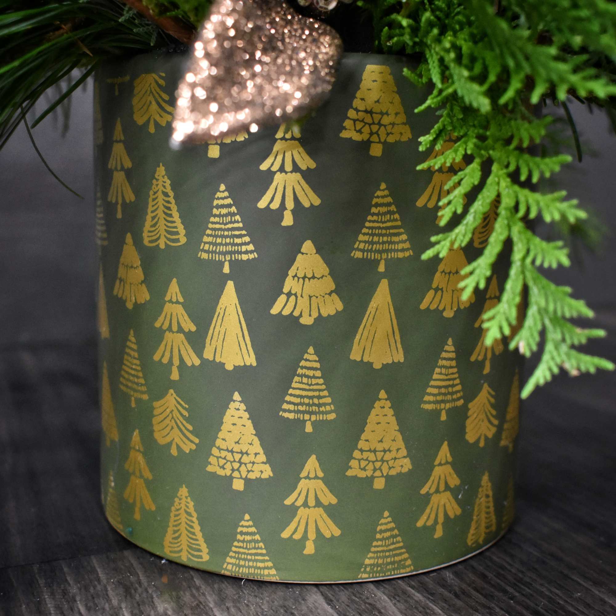 Enjoy a bit of of outdoor greenery in your home, without the