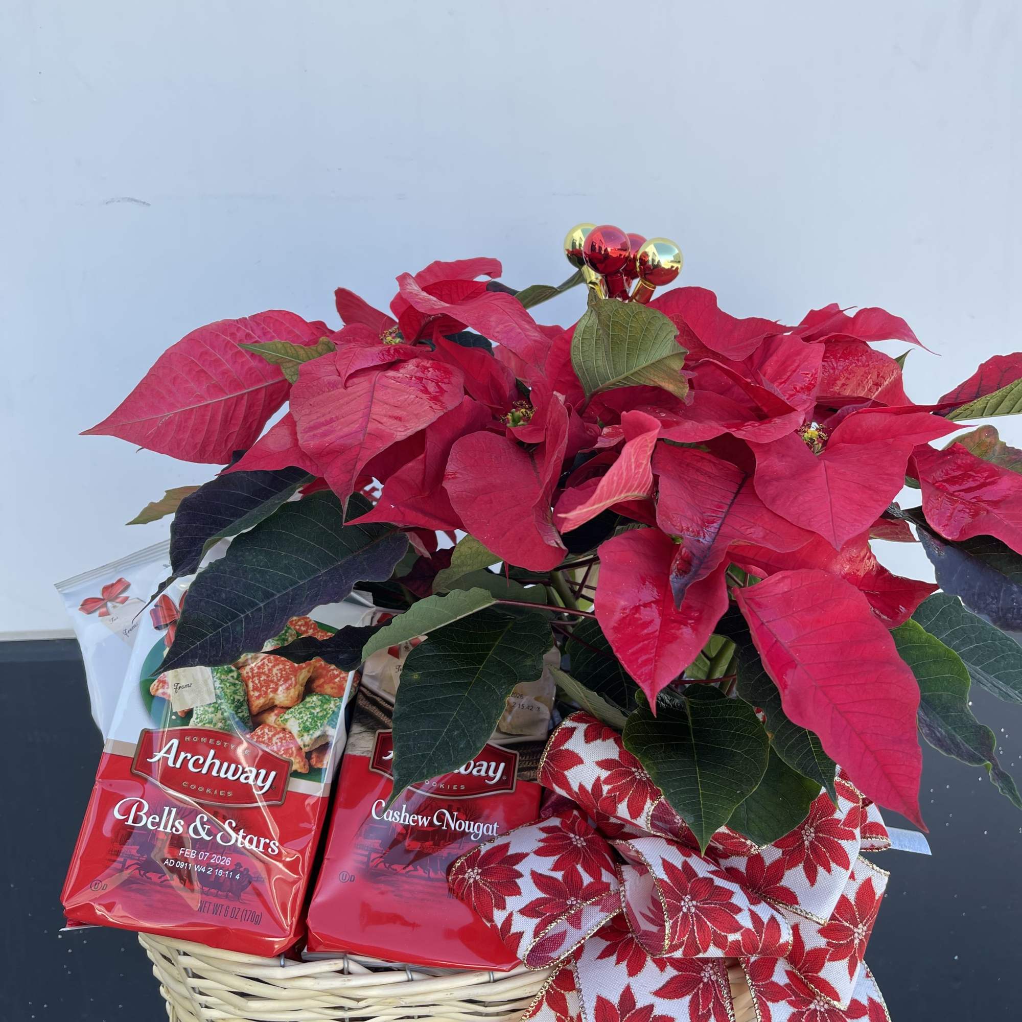 Poinsettia with snacks basket