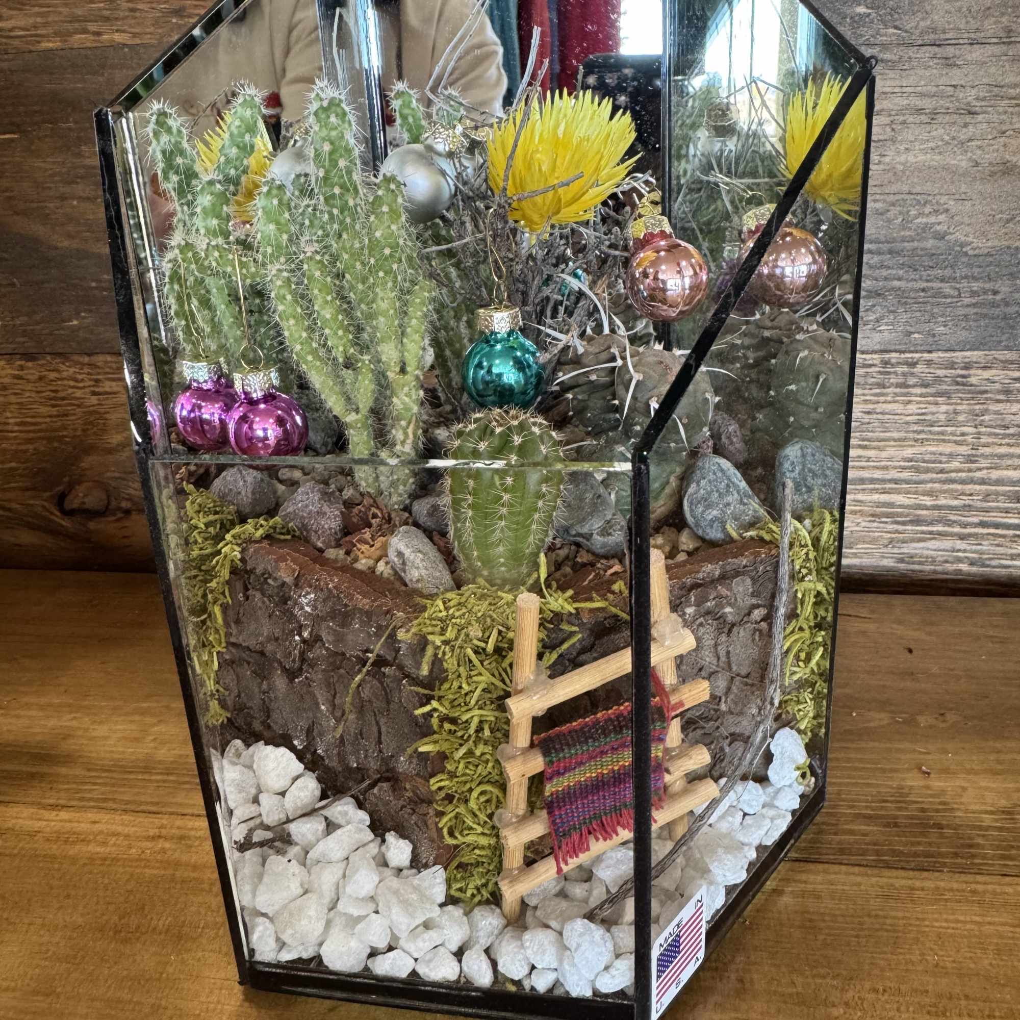 Beautiful Arizona cactus garden. Easy to care for cactus terrarium. 