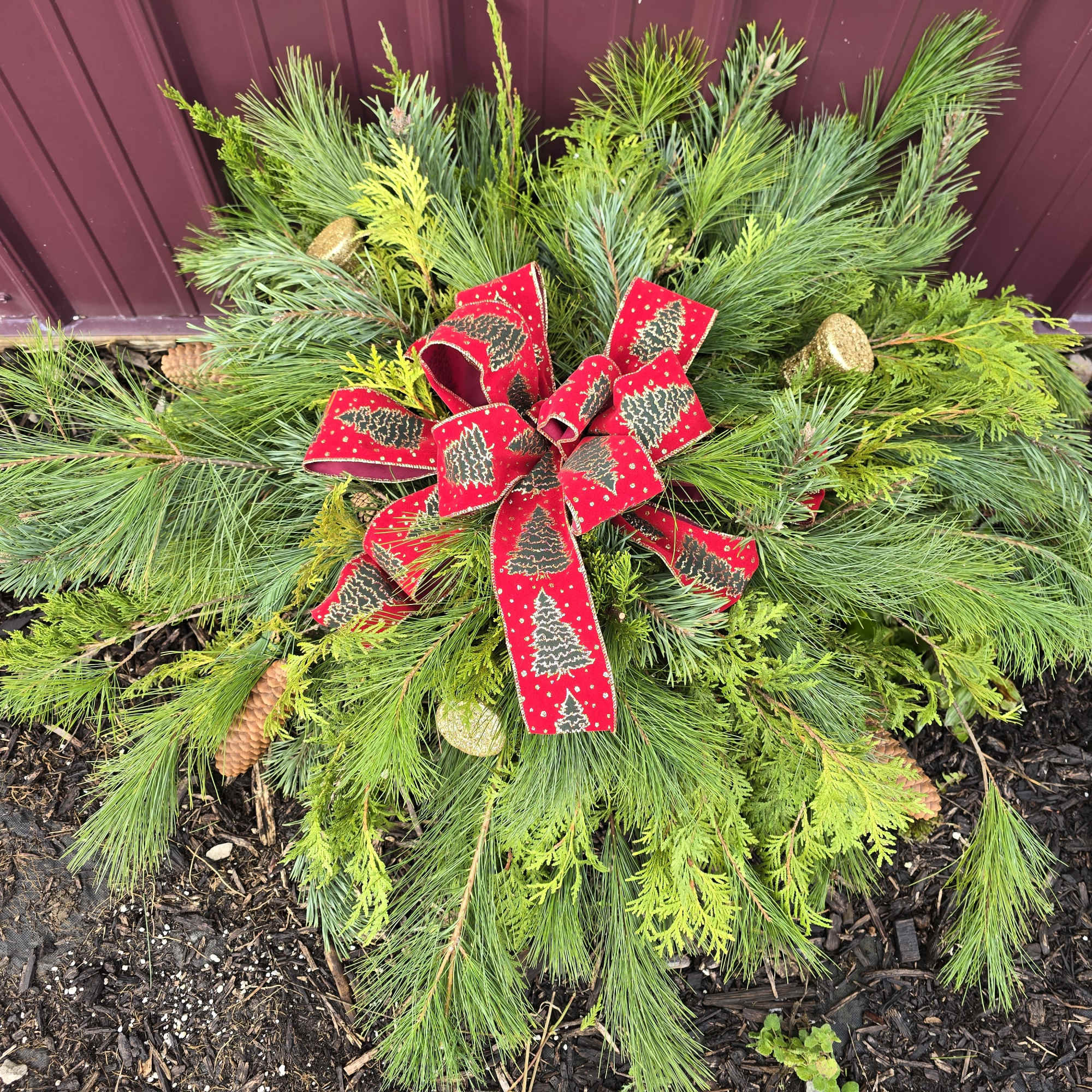 Half size fresh pine grave covering. Your choice of color of bow