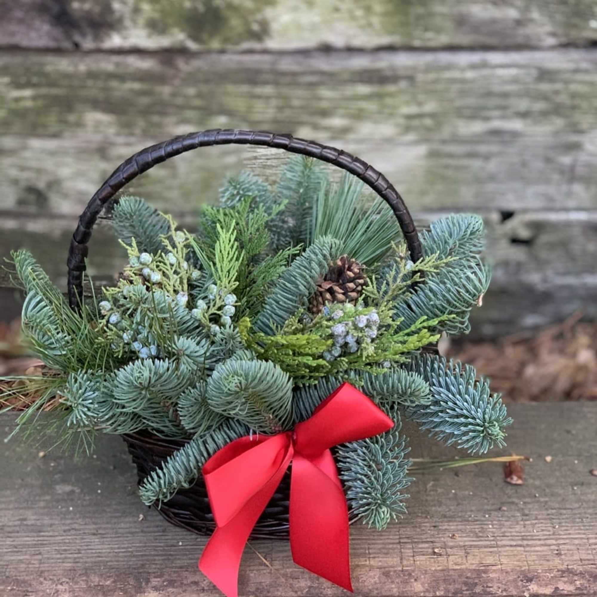 Sweet basket filled with mixed evergreens effervescent of holiday Spirits. 
Deluxe and