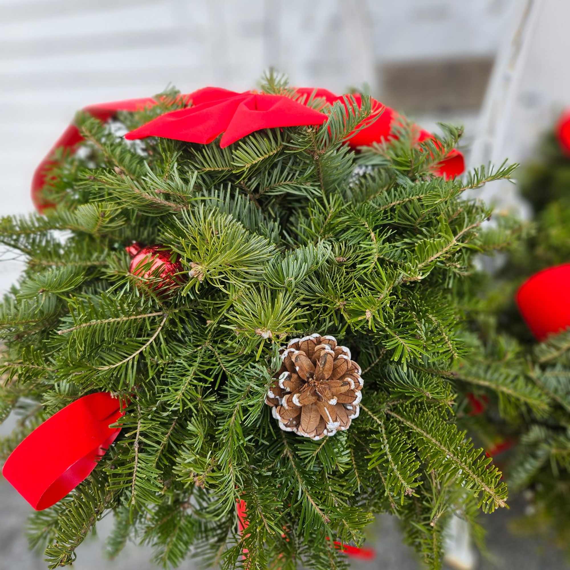  Decorated Kissing Ball
Medium $49.99
Large $59.99