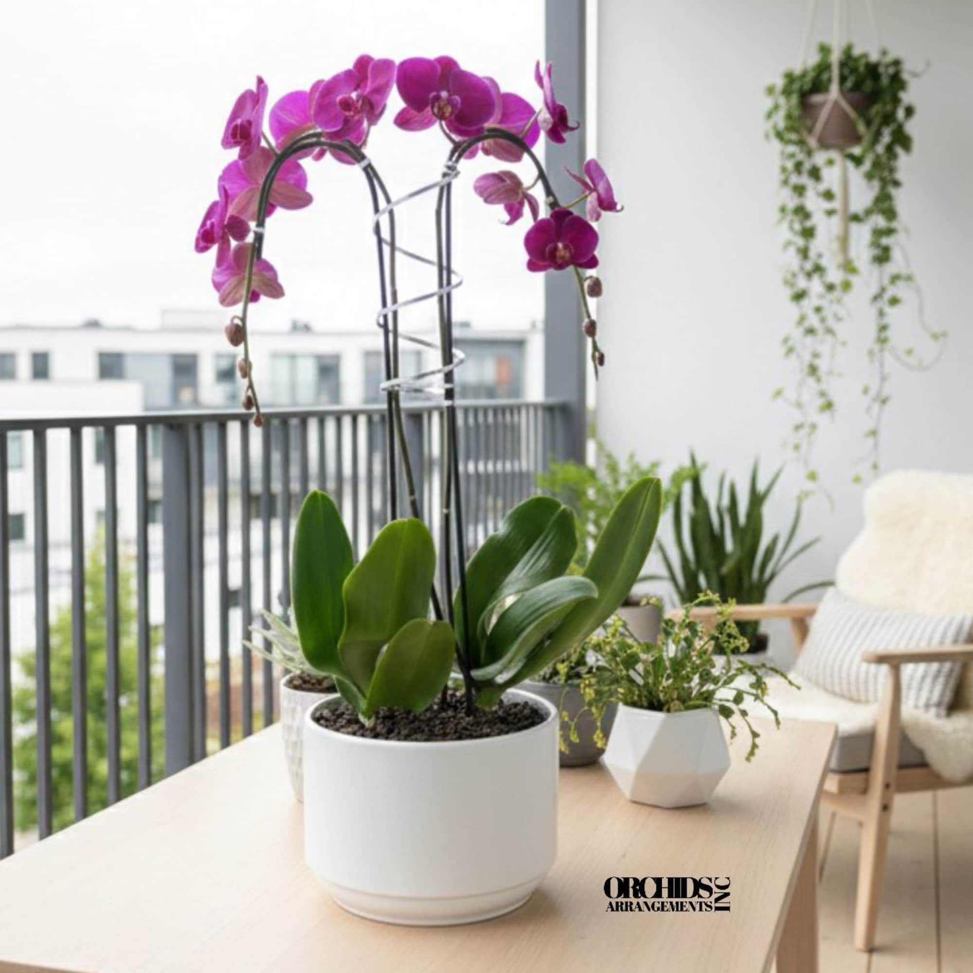 A high quality Double purple orchid arrangement with a vase 8.5" D