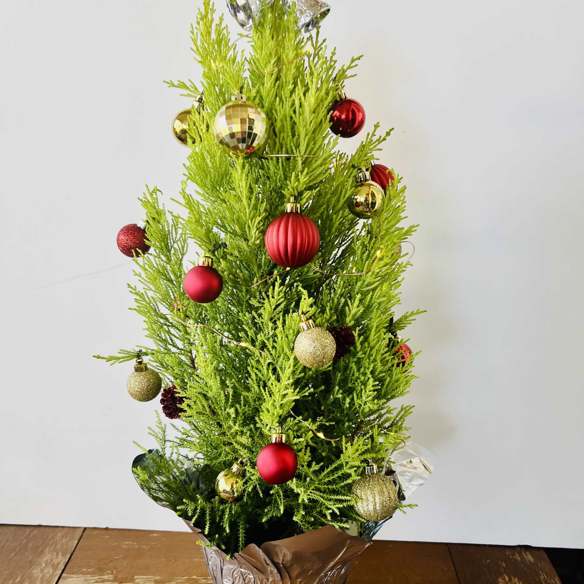 A charming 24-inch cypress Christmas tree, glowing with warm lights and festive