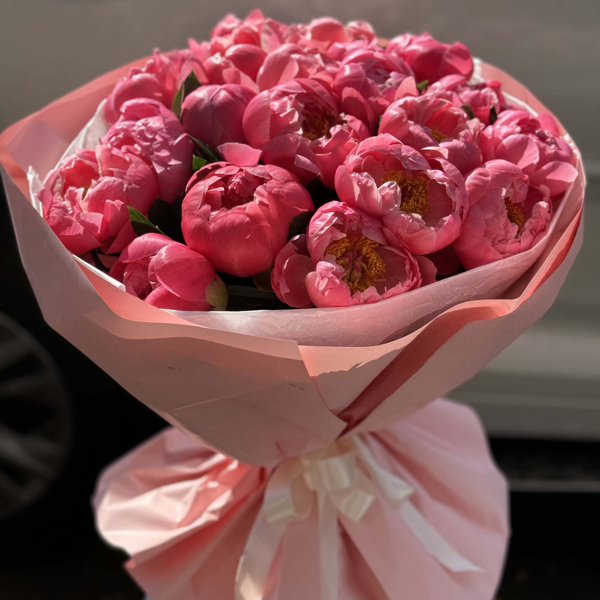 The photo shows a deluxe size.