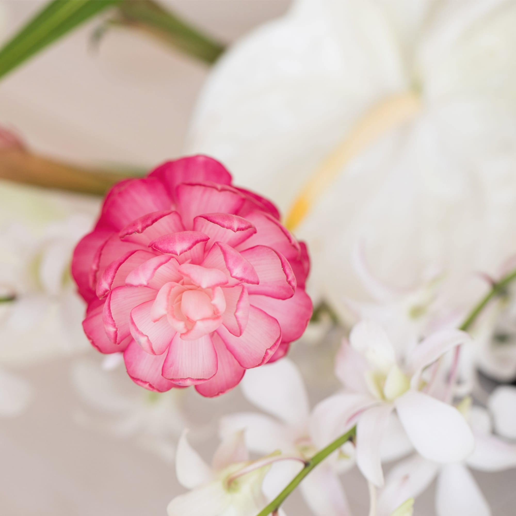 Trendy and Fun, this arrangement features exotic tropical flowers that exude elegance