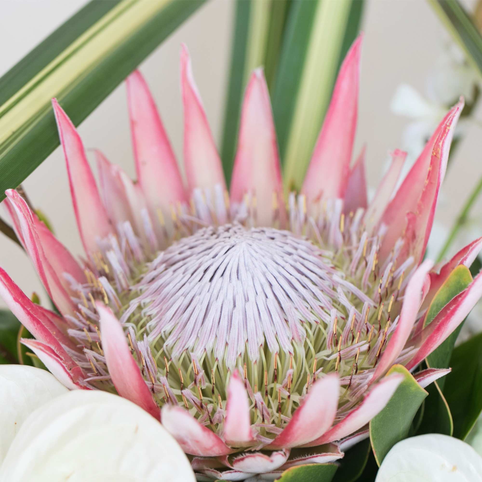 Trendy and Fun, this arrangement features exotic tropical flowers that exude elegance