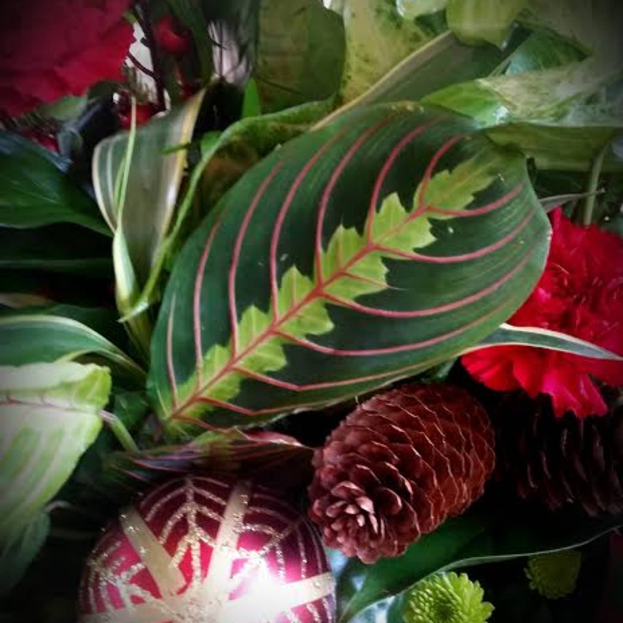 Assorted tropical plants in a 8" diameter basket-- accented with fresh flowers