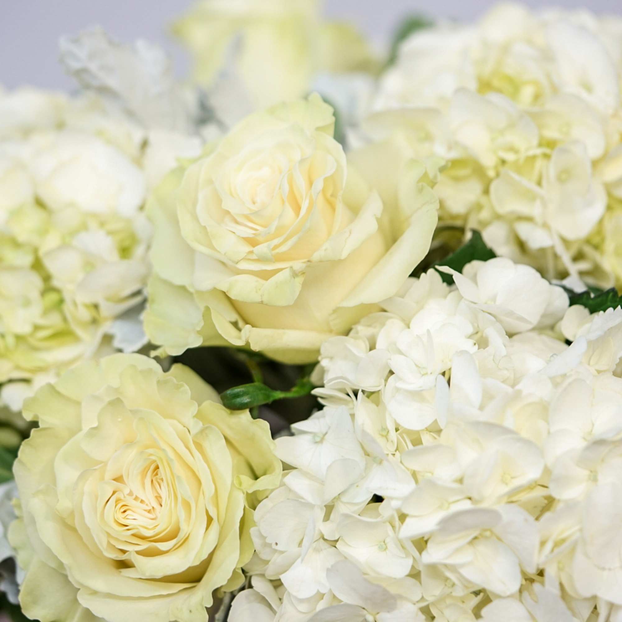 Desire a floral arrangement designed elegantly in a simple color palette? This