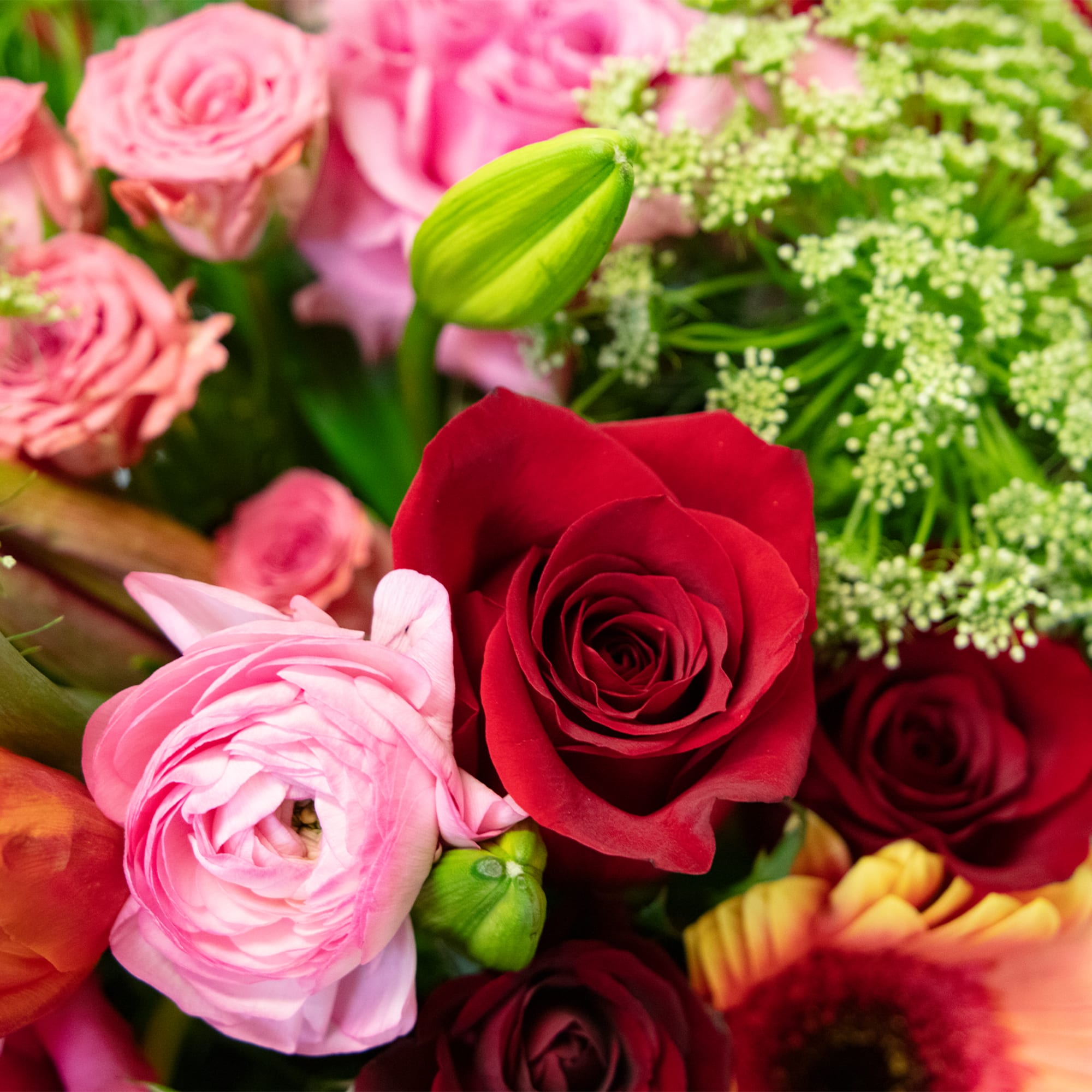 Ring in the New Year with the vibrant "Carnivale" floral arrangement, featuring