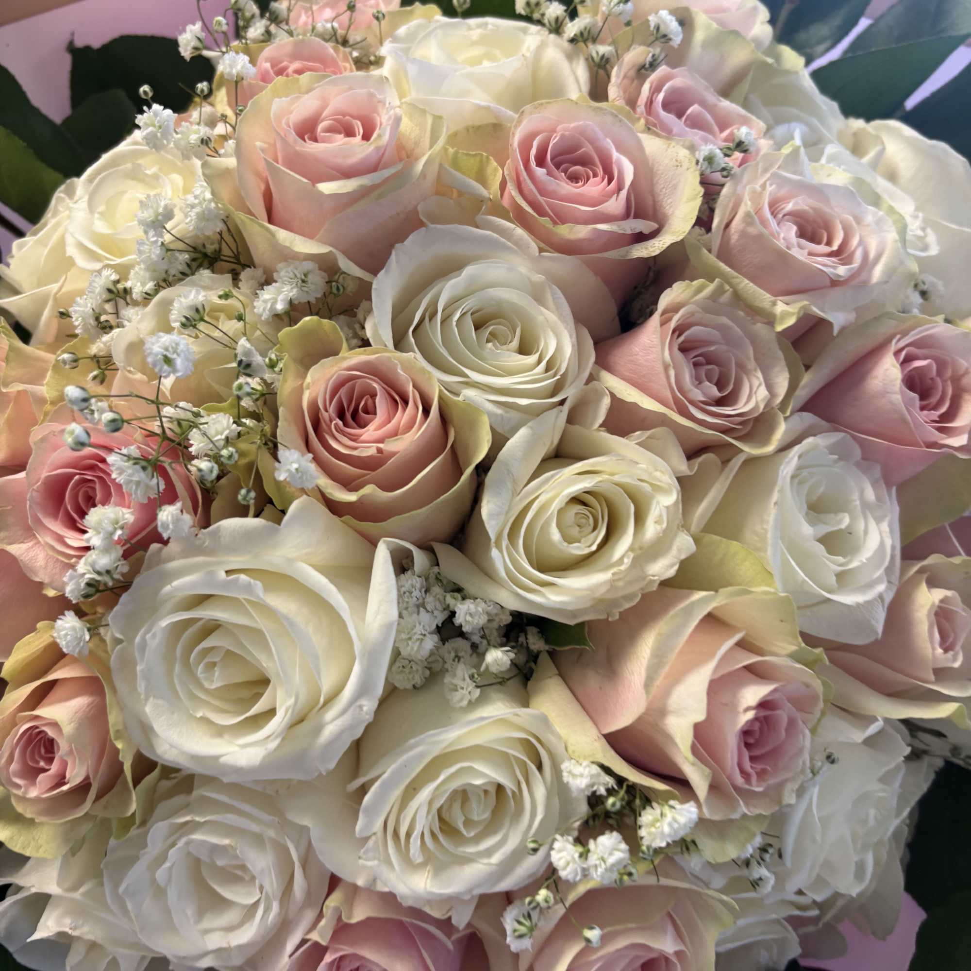 Fifty fresh roses in wrapping with lemon leaves  and baby breath