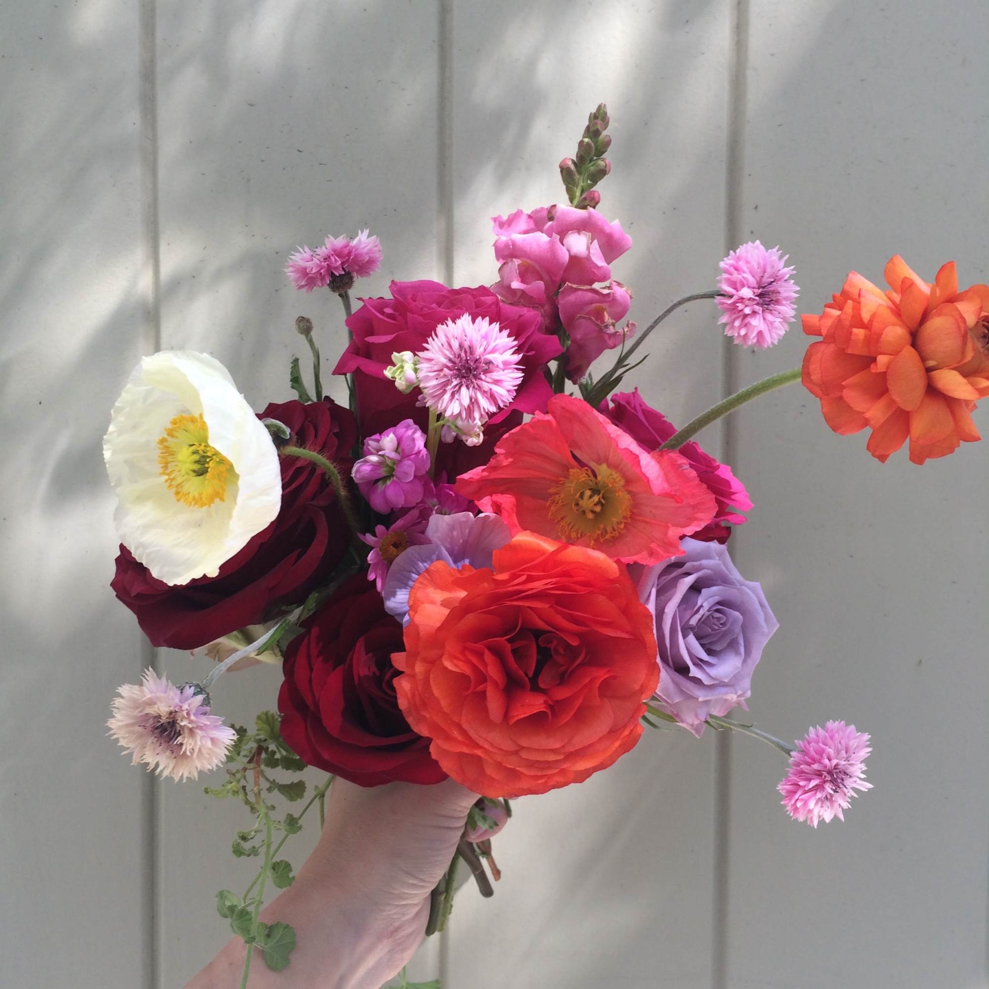 Hand tied pretty bouquet of happy bright colors.
Ranunculus, roses, snapdragons and other