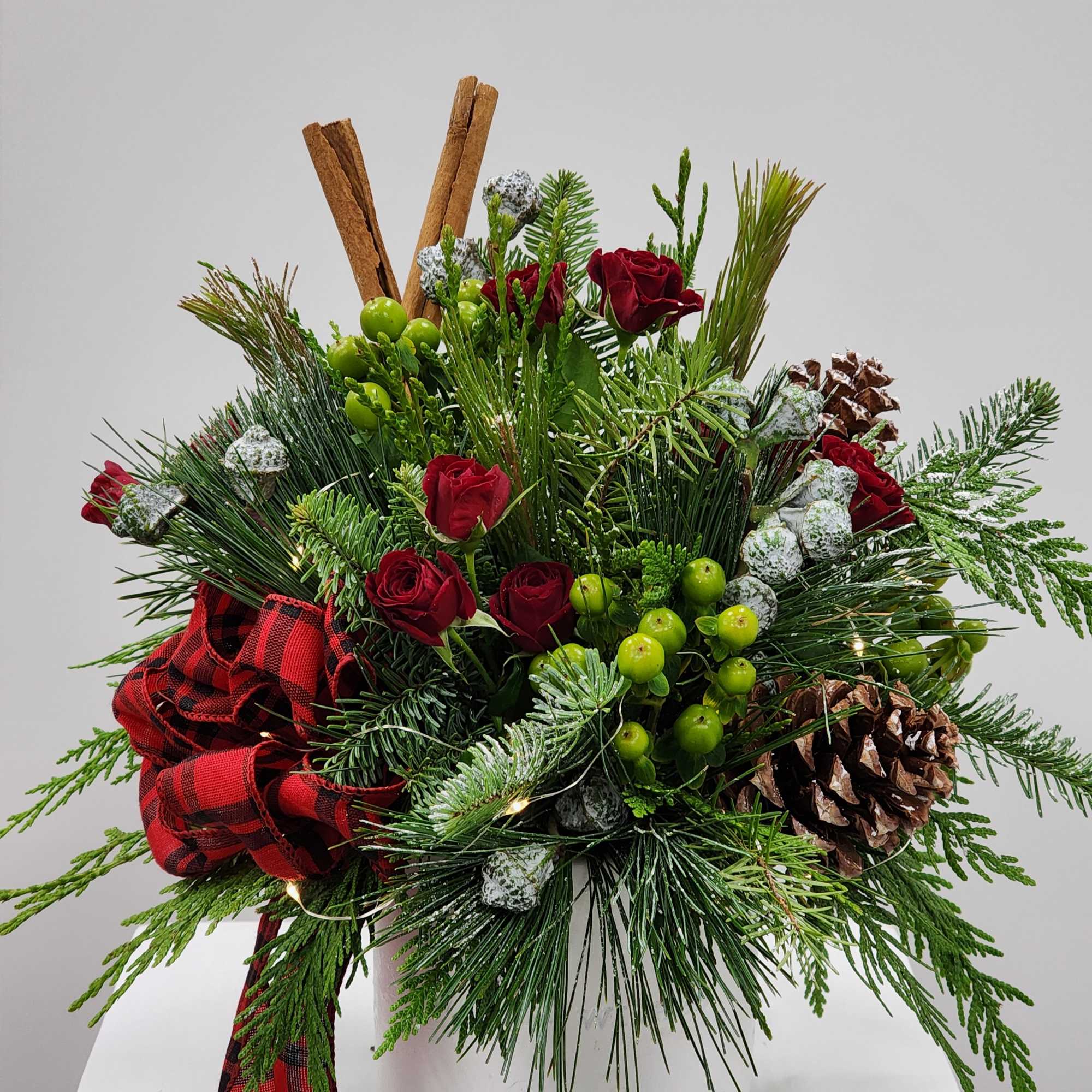 Select this one-sided warm and snug arrangement in a ceramic white container