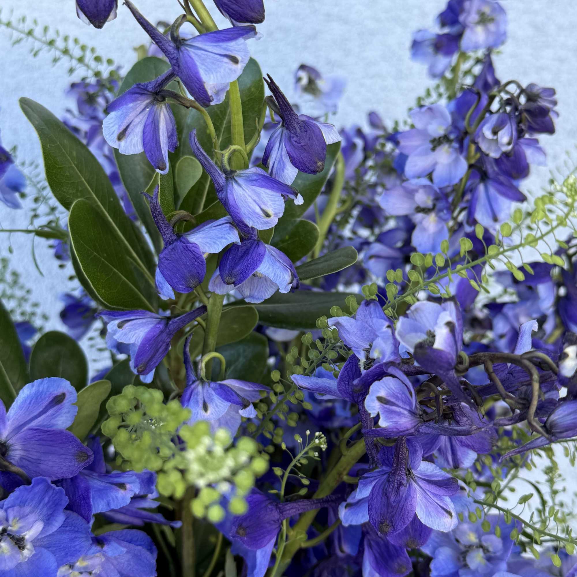 Dark blue/violet  delphinium lined flower bouquet with in season greenery. 

Arrangement